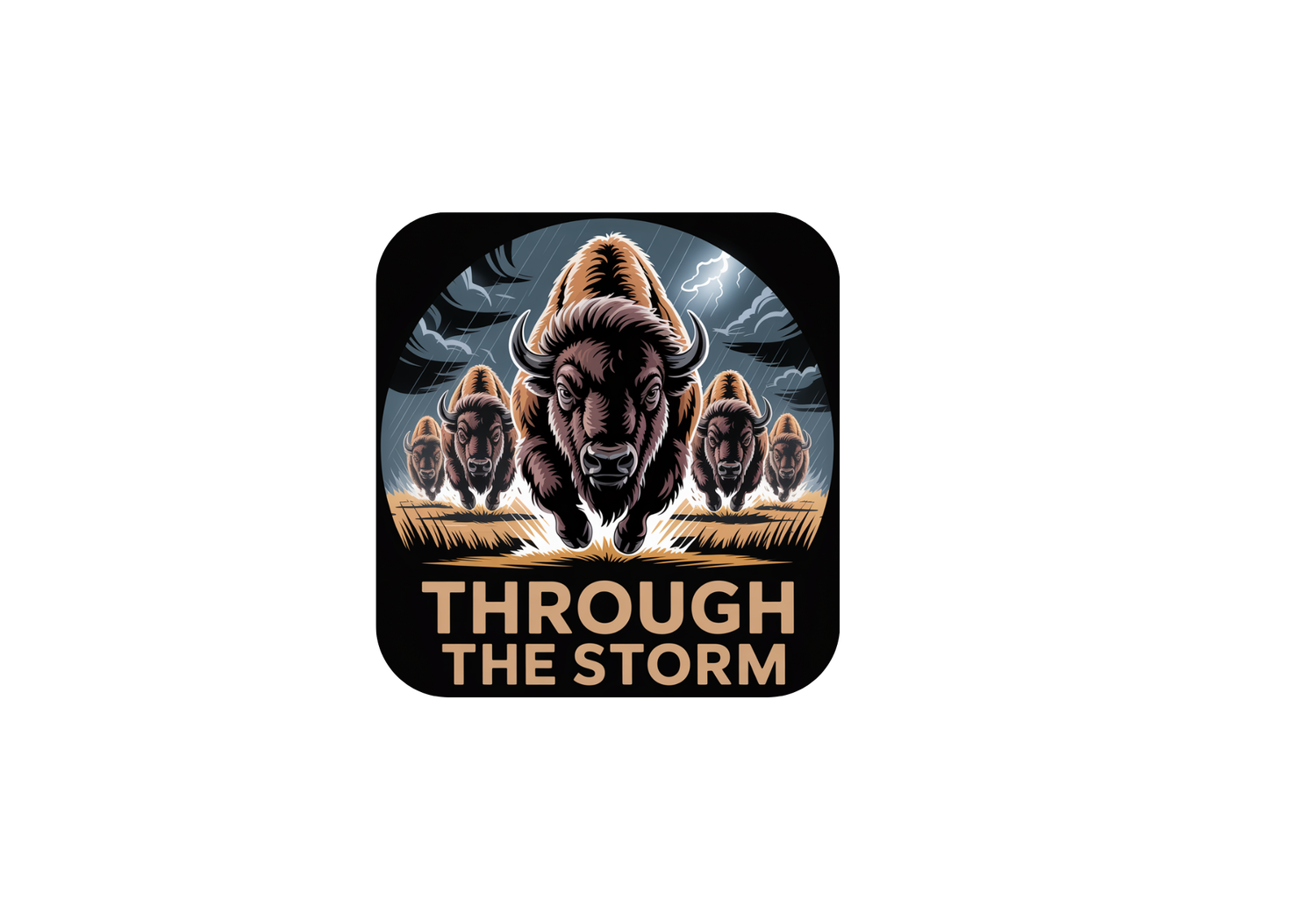 Through the Storm Designs