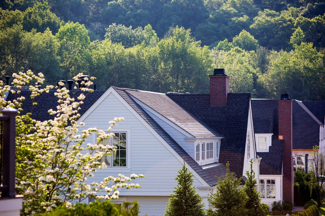 Residential neighborhood with white house, trees in foreground, green forested hills in background, and rooftops with chimneys.