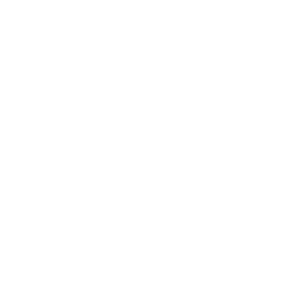 A logo with a stylized camera with wings and the text 'flythru.io' below it, all in white on a black background.