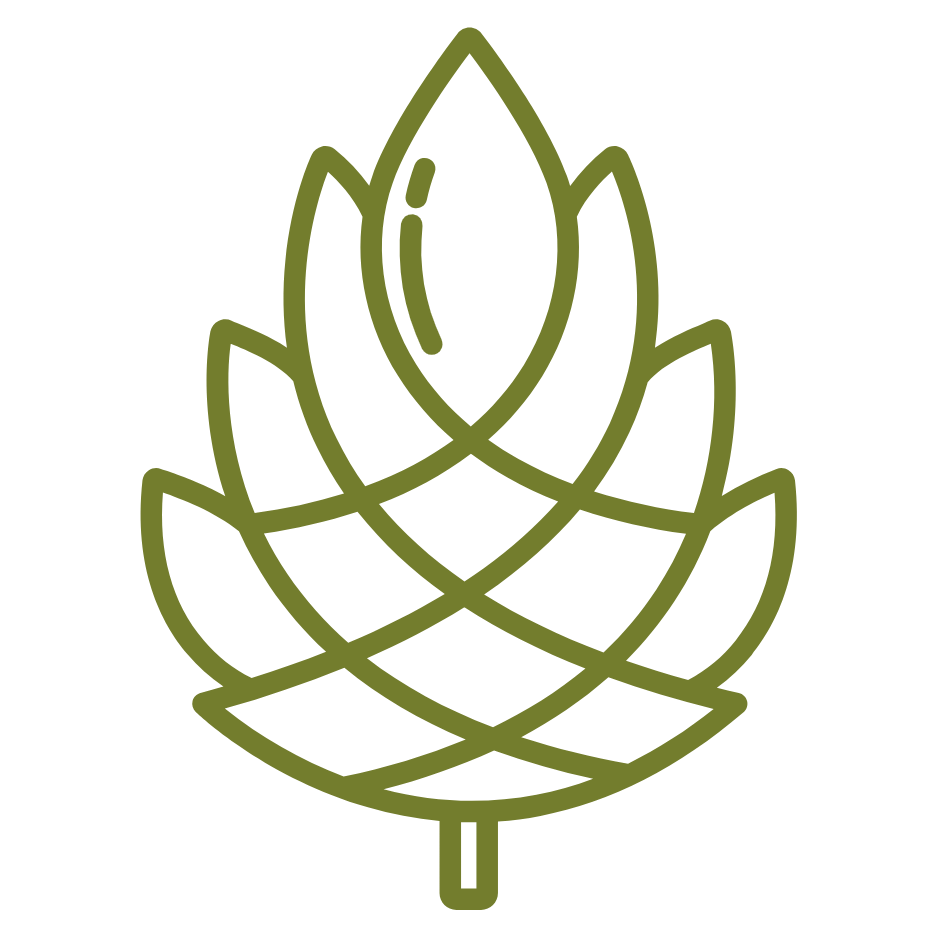 Simplified line drawing of a hop cone, green outline on a black background.