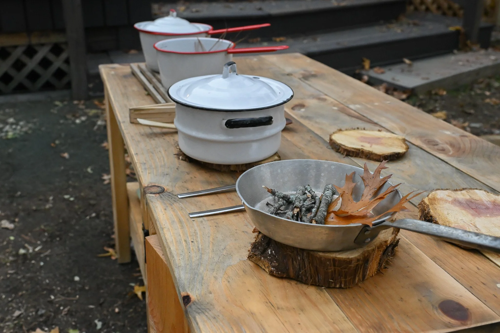 play inspired -dramatic play-nature play