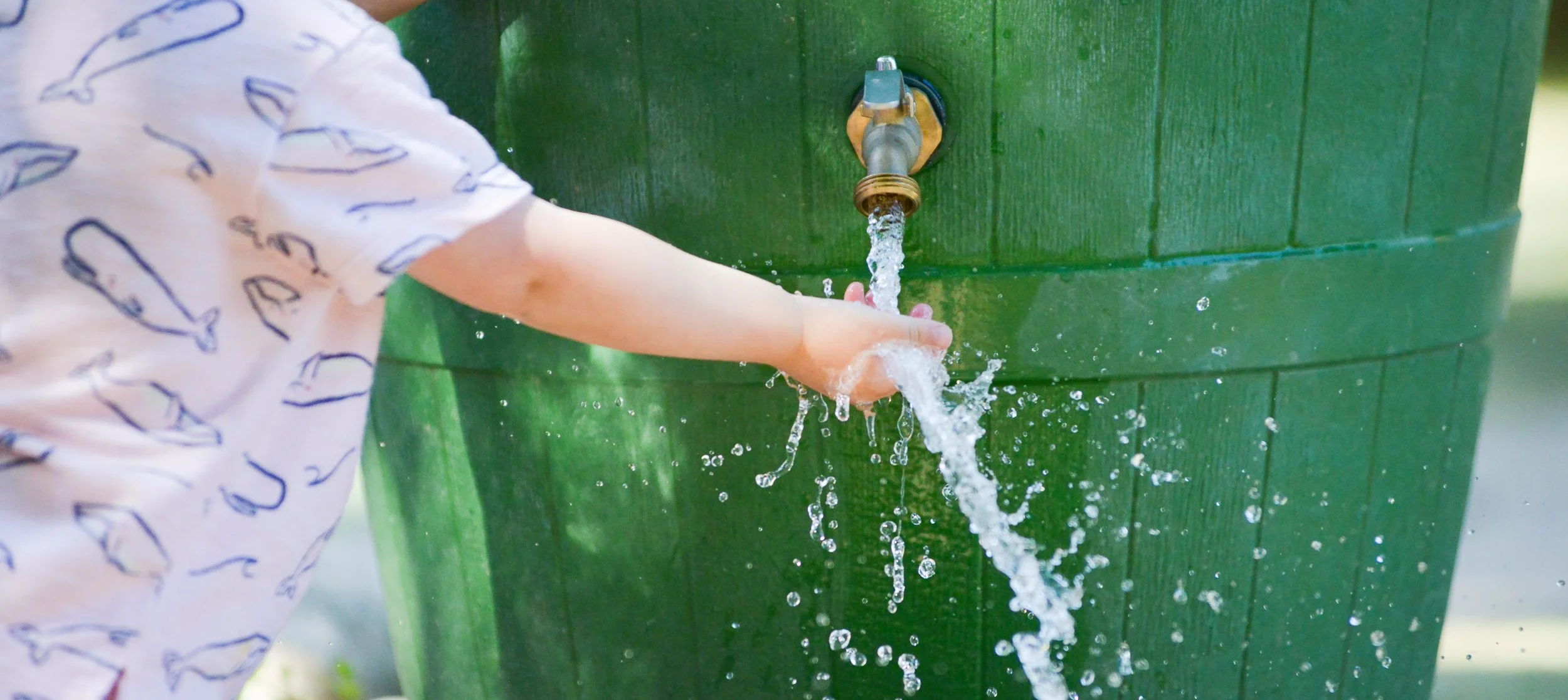 Learning with nature is children's right. We need the fulness of  experiences with natural rhythms, beauty and harmony. 