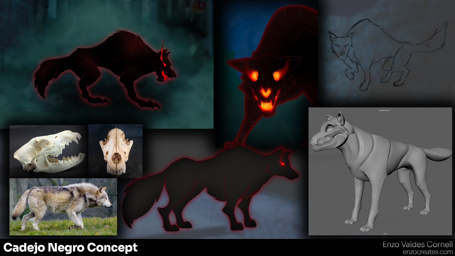 Cadejo Negro Concept