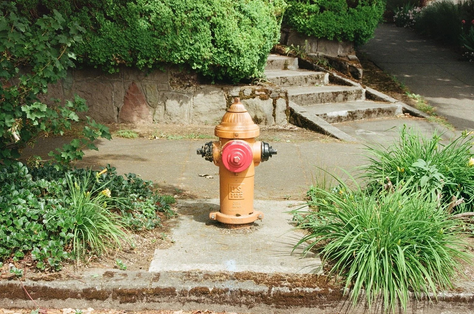 000034730015.jpg