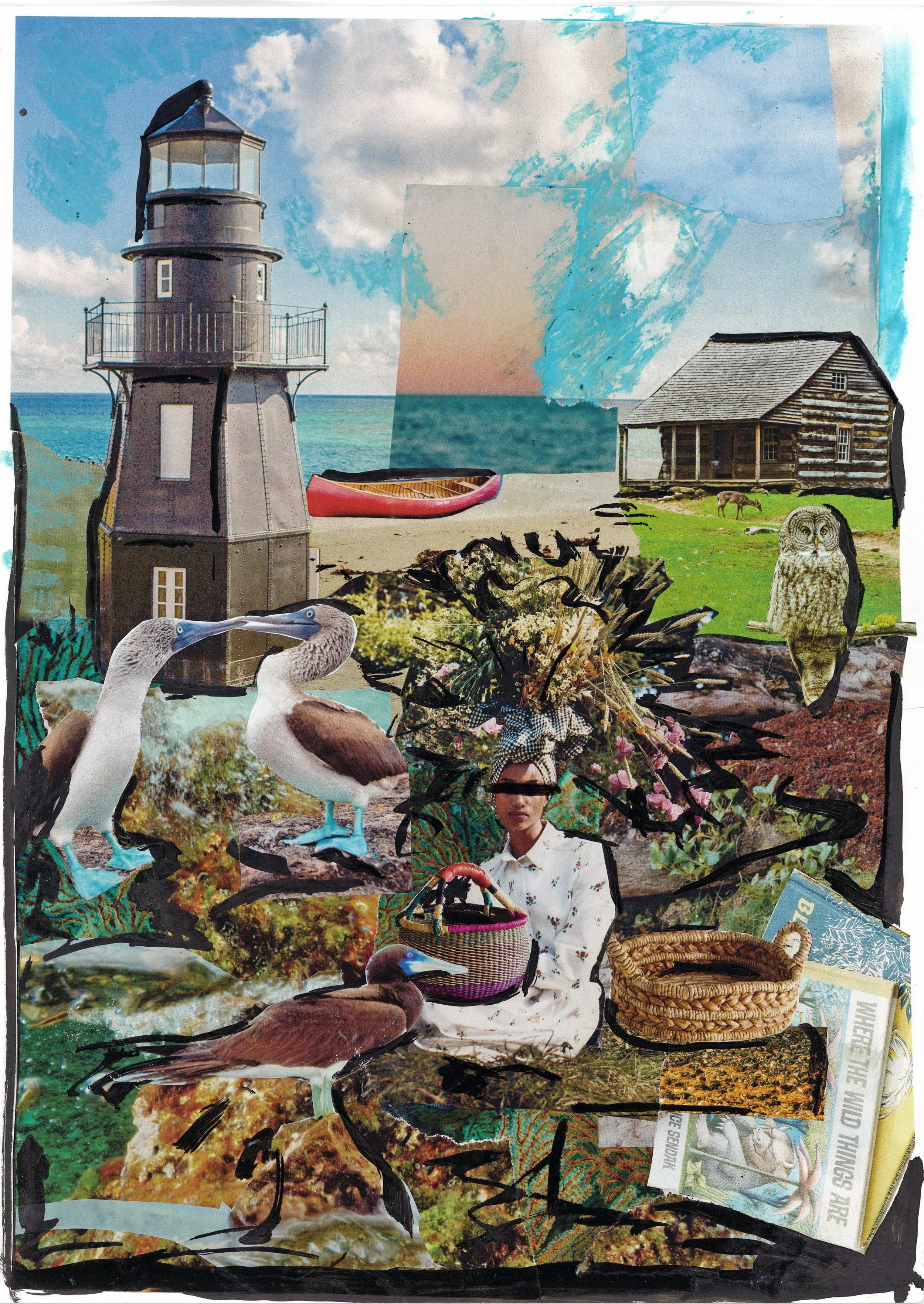 Where the Crawdads Are