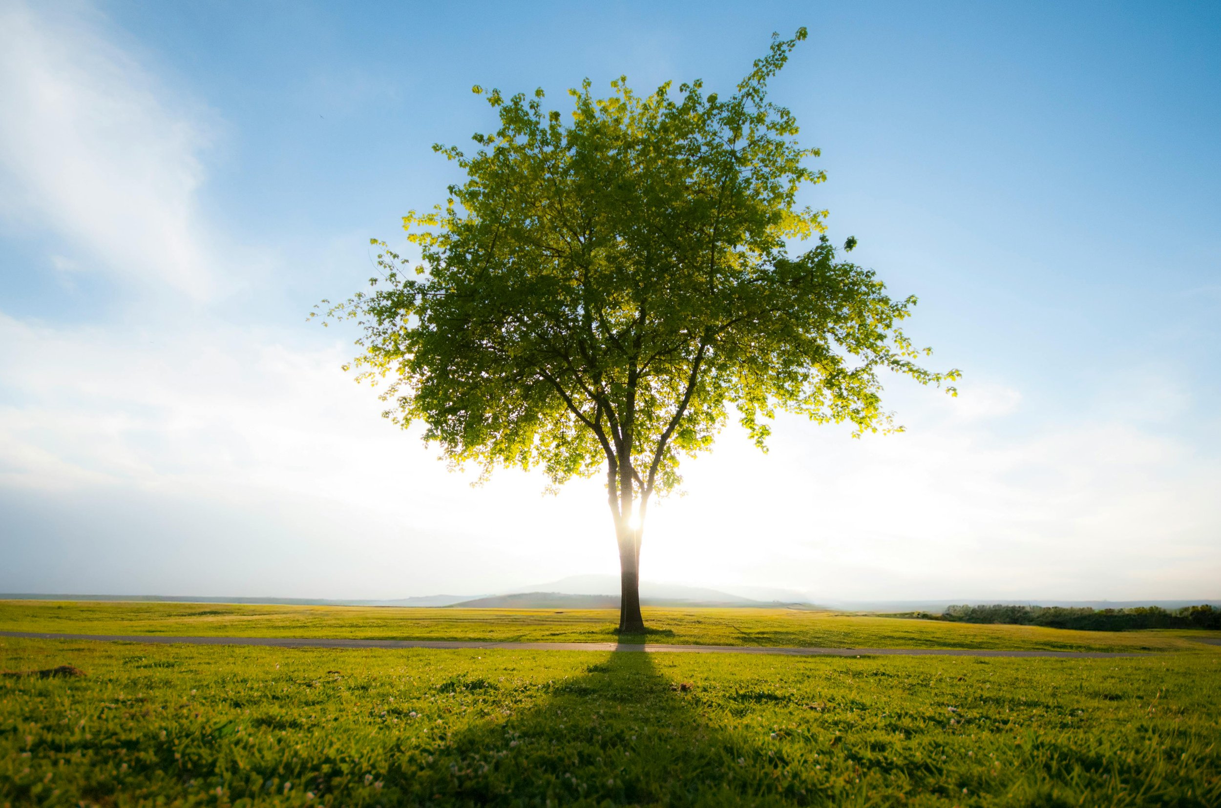 La recherche de notre coeur. 