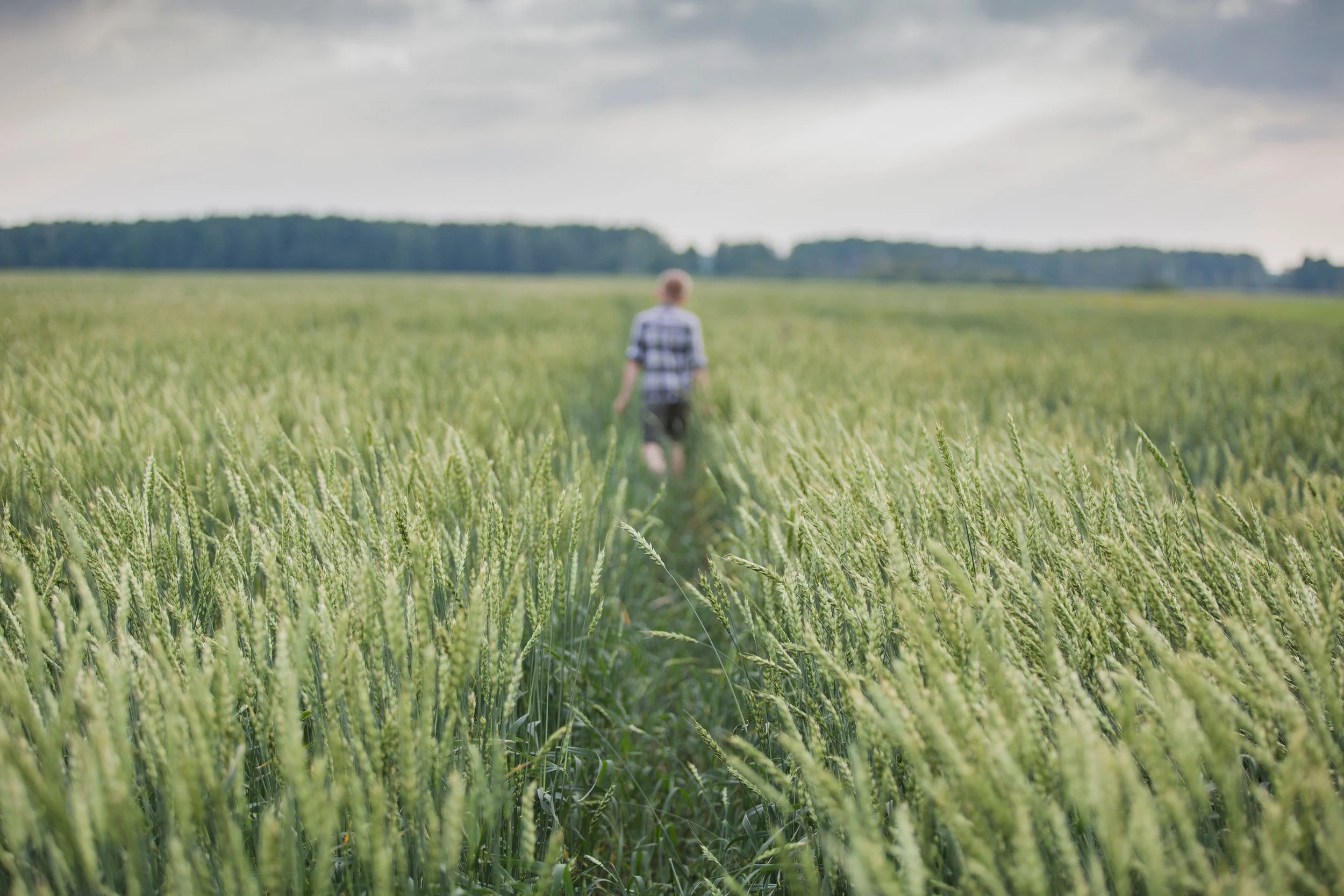 Le Cœur, Terre de Dieu
