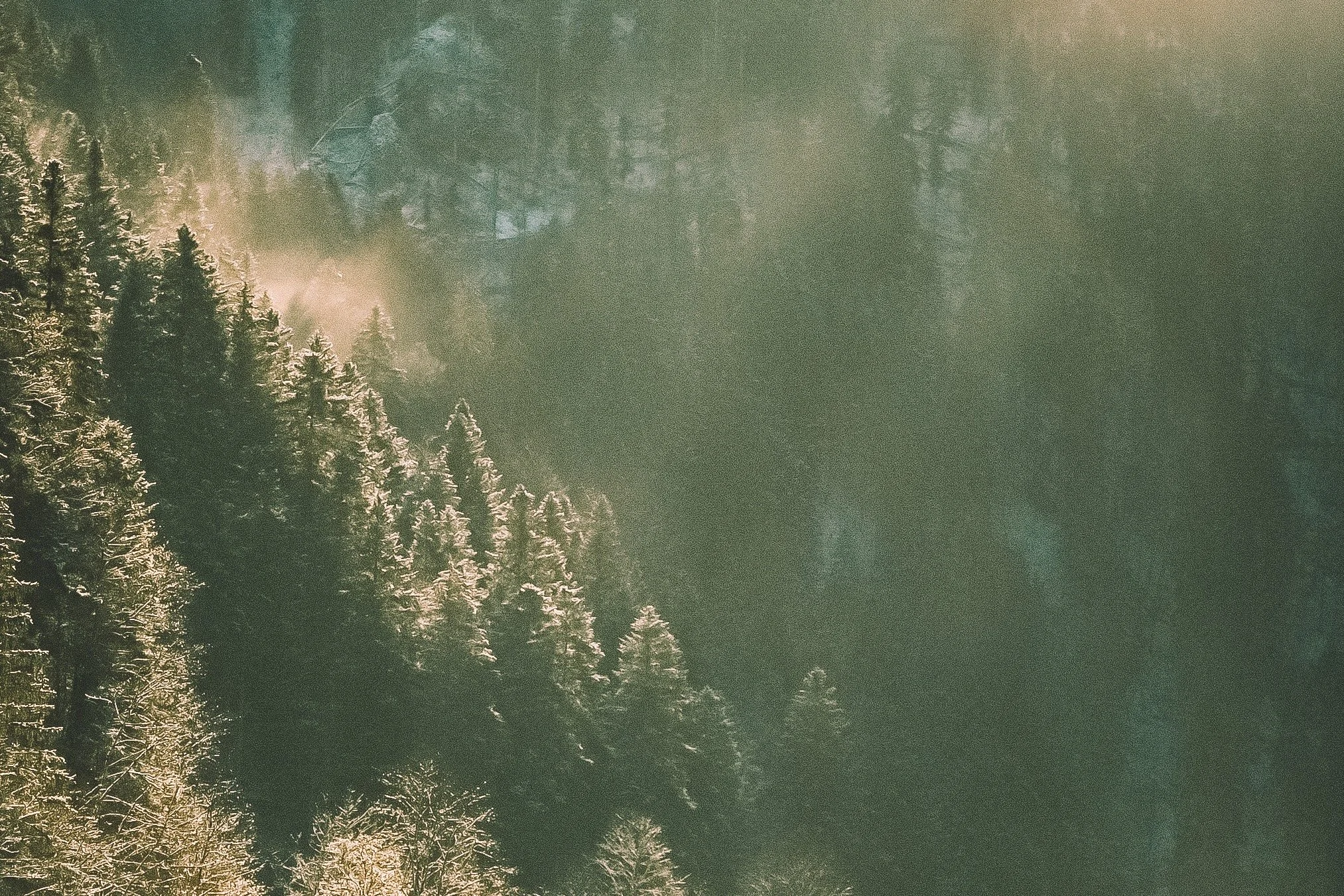 Au bord du Doubs - Hiver