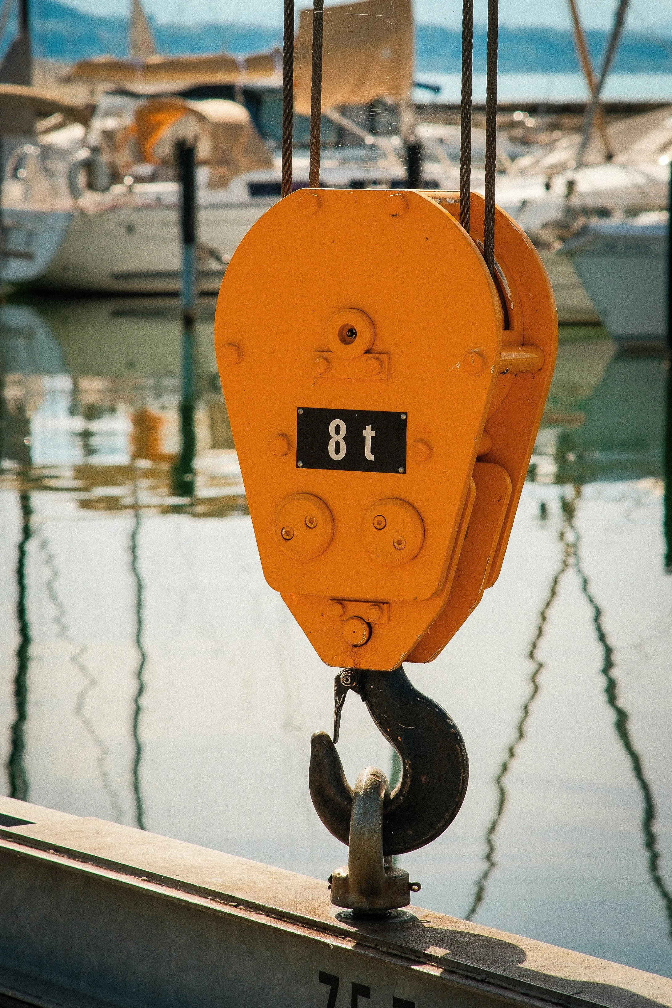 DSCF5204.JPG