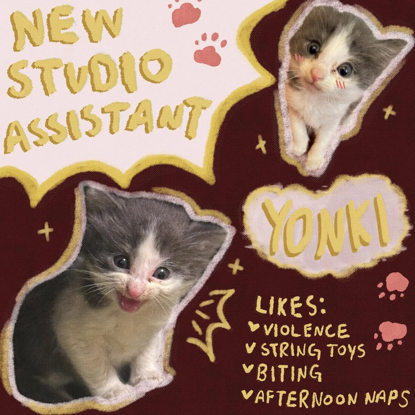 Everyone meet my new studio assistant, Yonki! He is five weeks old and barely realizes he exists but he is very curious so I am confident he&rsquo;ll pick up wheel throwing and kiln loading soon enough.