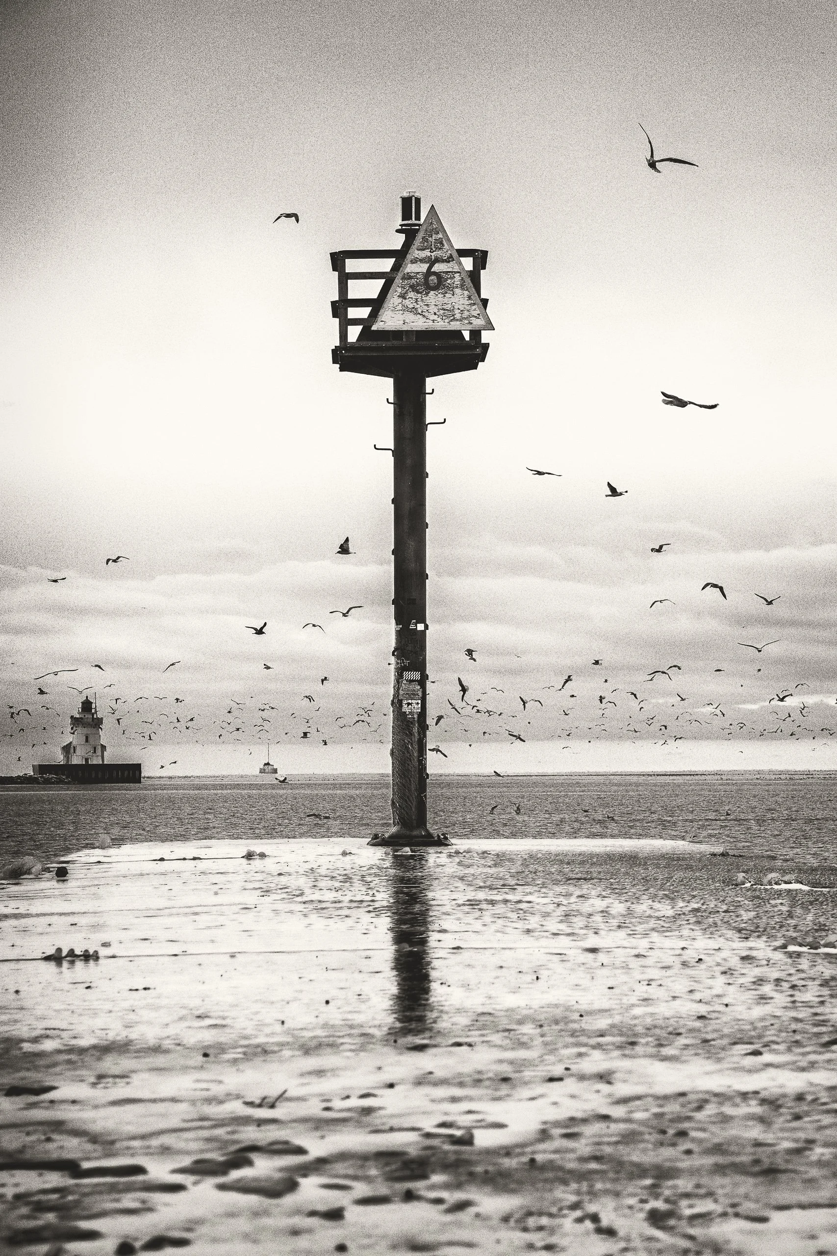 A solitary navigation marker rises from the water as birds move through an overcast lakeside sky.