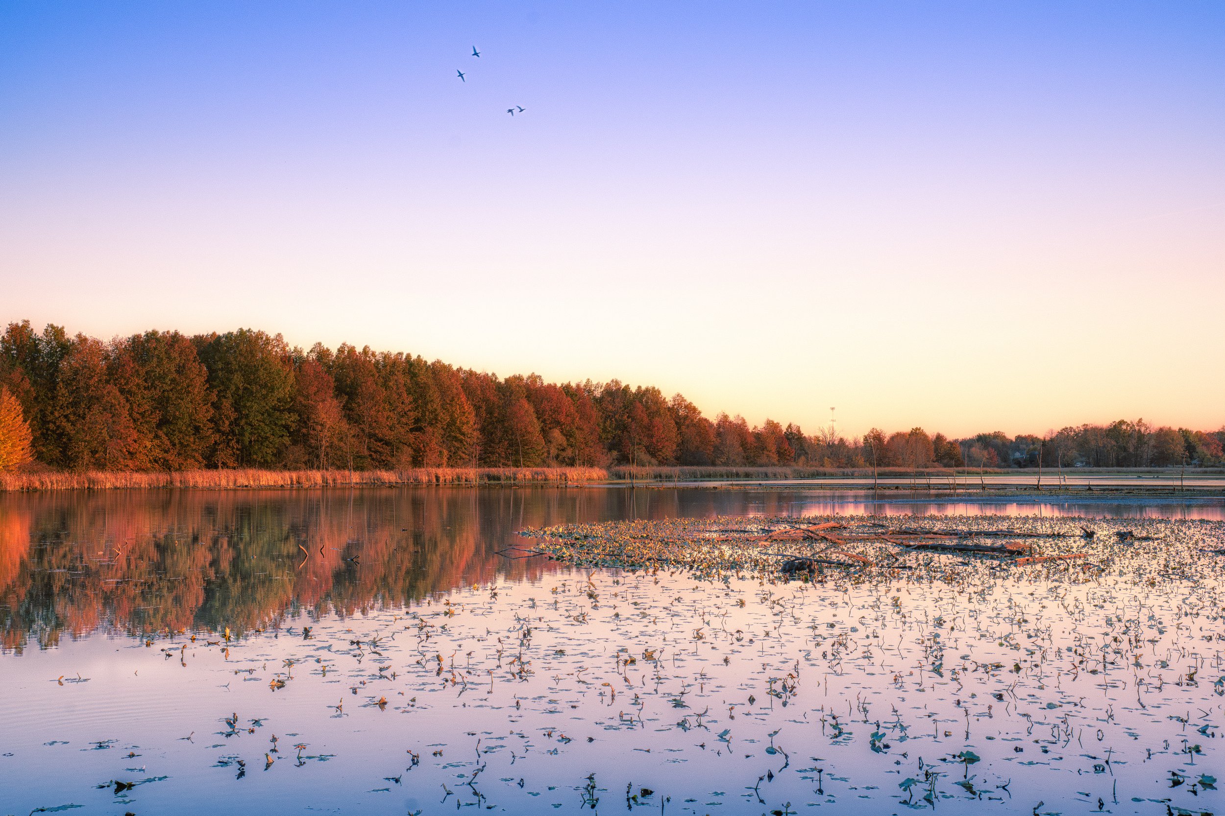 Warm sunset light reflects across the lake as late autumn colors fade into the approaching evening.