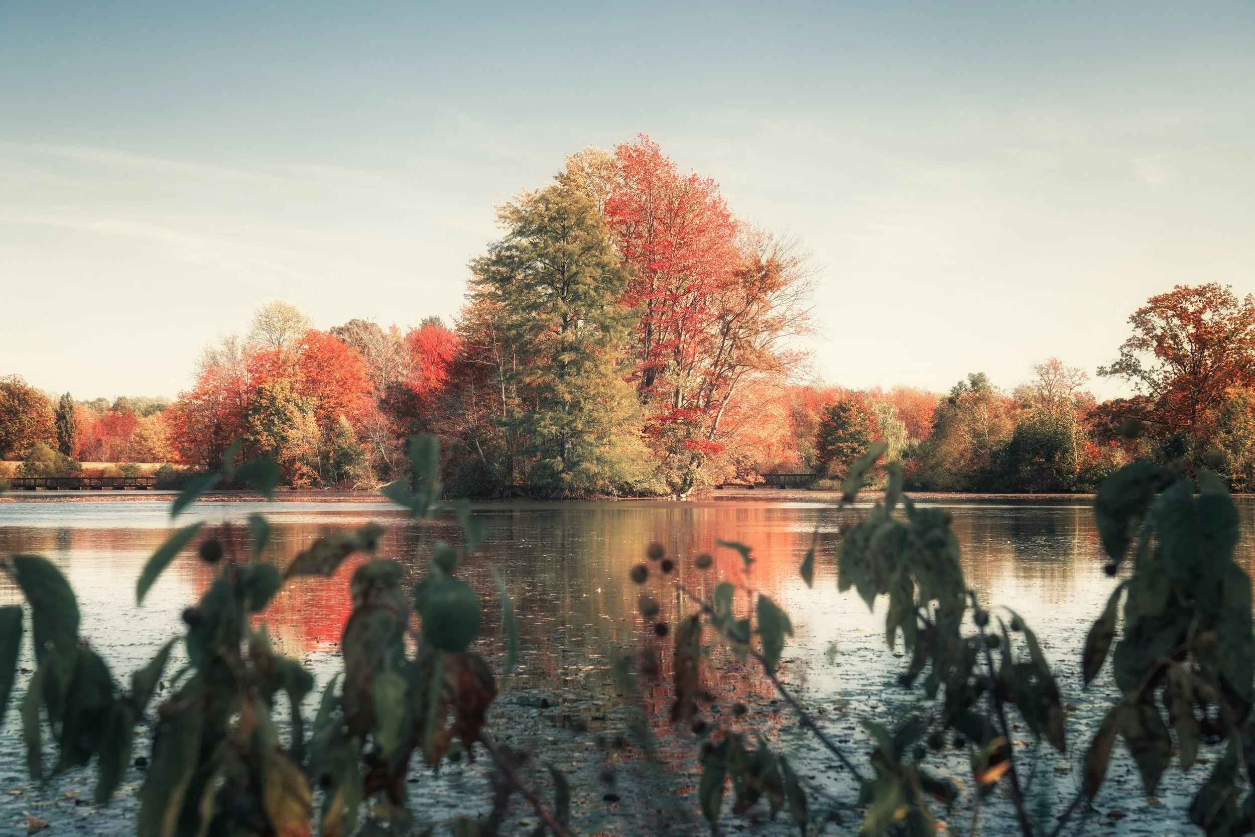 Soft evening light settles over a quiet lakeside landscape as late fall color fades toward winter.