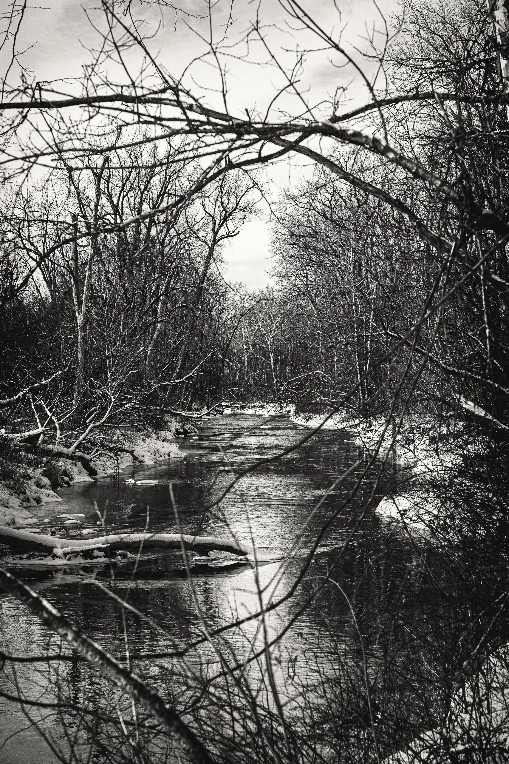 Bare branches frame a quiet creek as winter light softens the surrounding landscape.