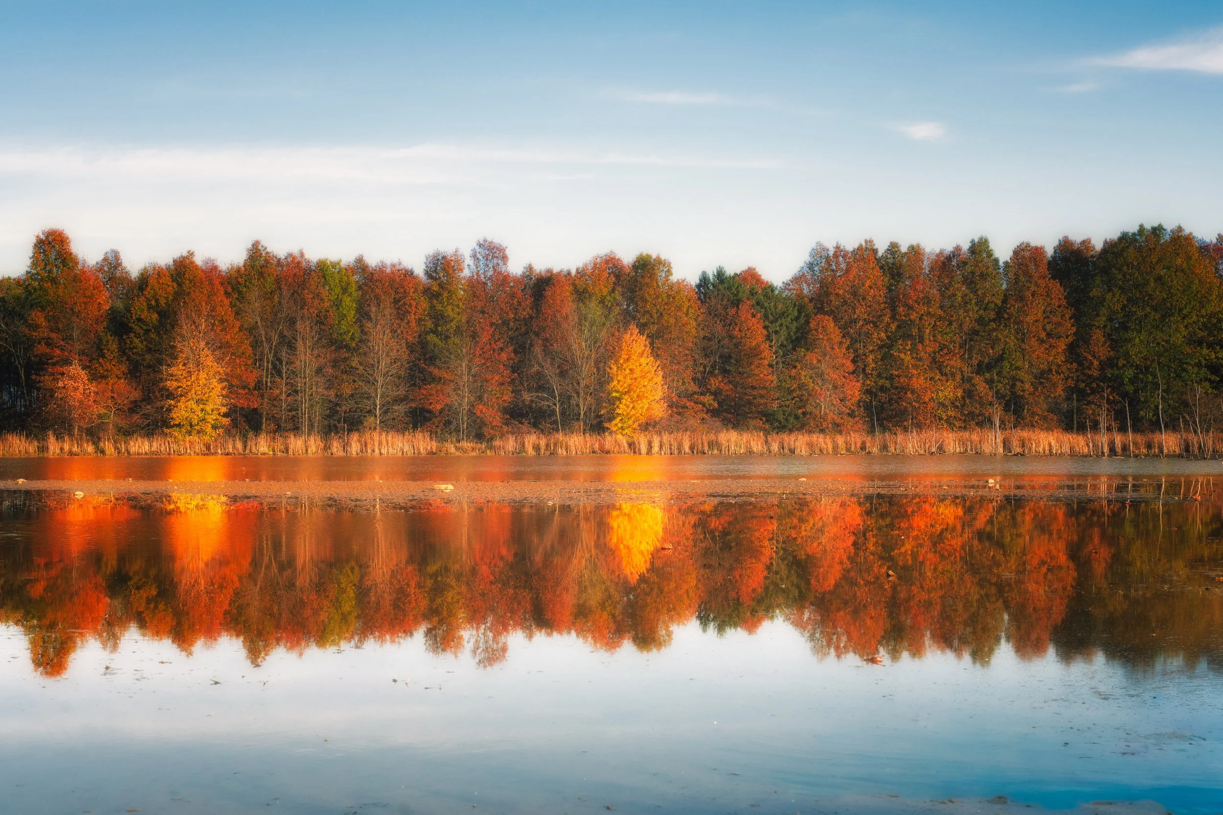 Autumn trees reflect across a calm lake in Northeast Ohio, capturing the stillness and color of the changing season.