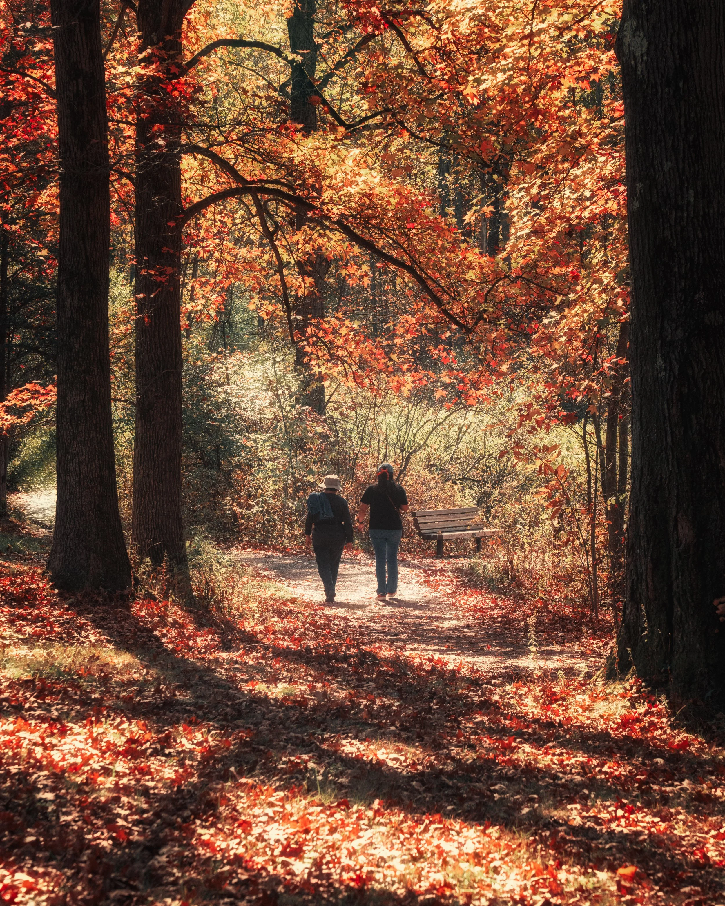 Two people walking on a wooded trail during fall, surrounded by colorful autumn leaves.