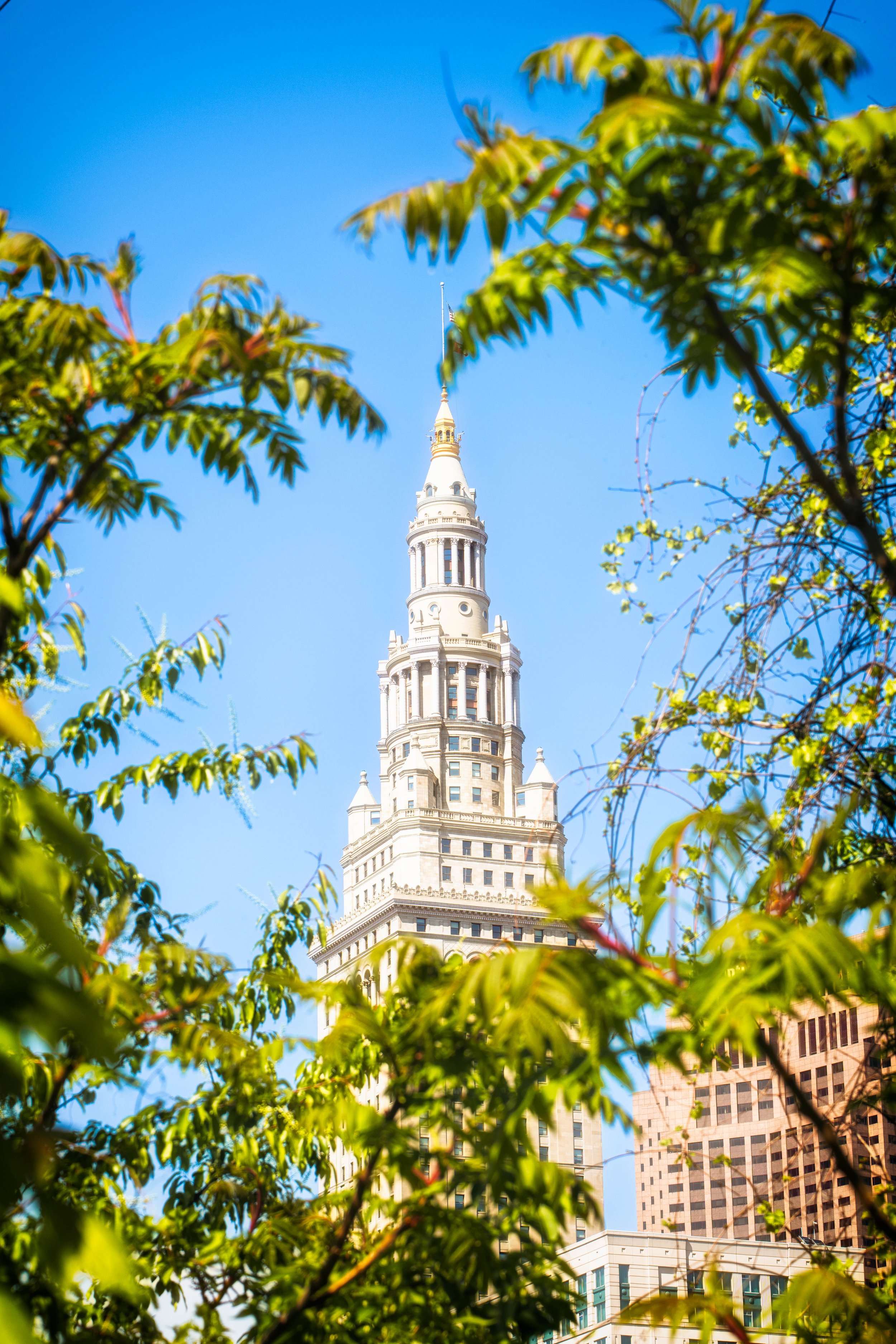 Tree branches frame a distant city landmark, blending natural elements with the built environment.