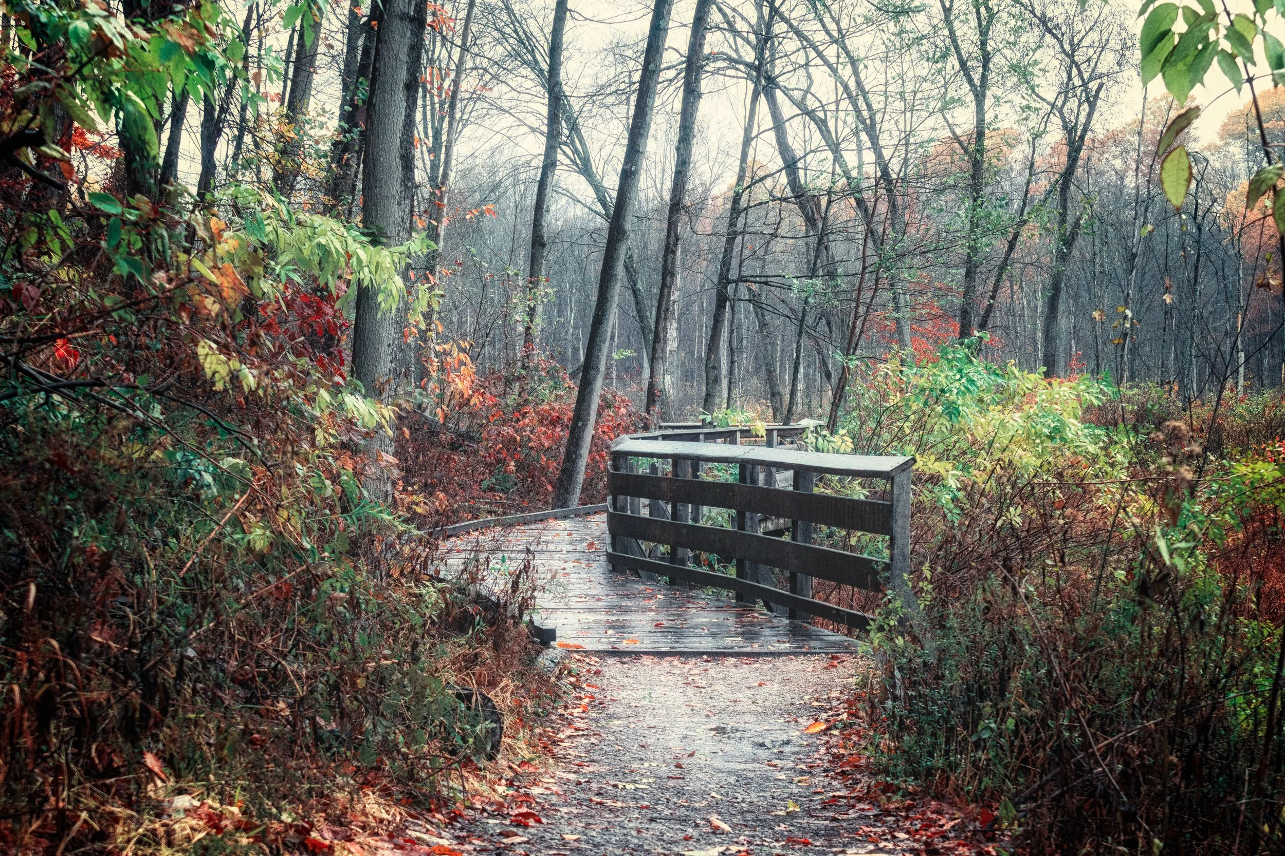 An empty bench rests beside a quiet path in late autumn, capturing a peaceful moment within nature’s seasonal transition.