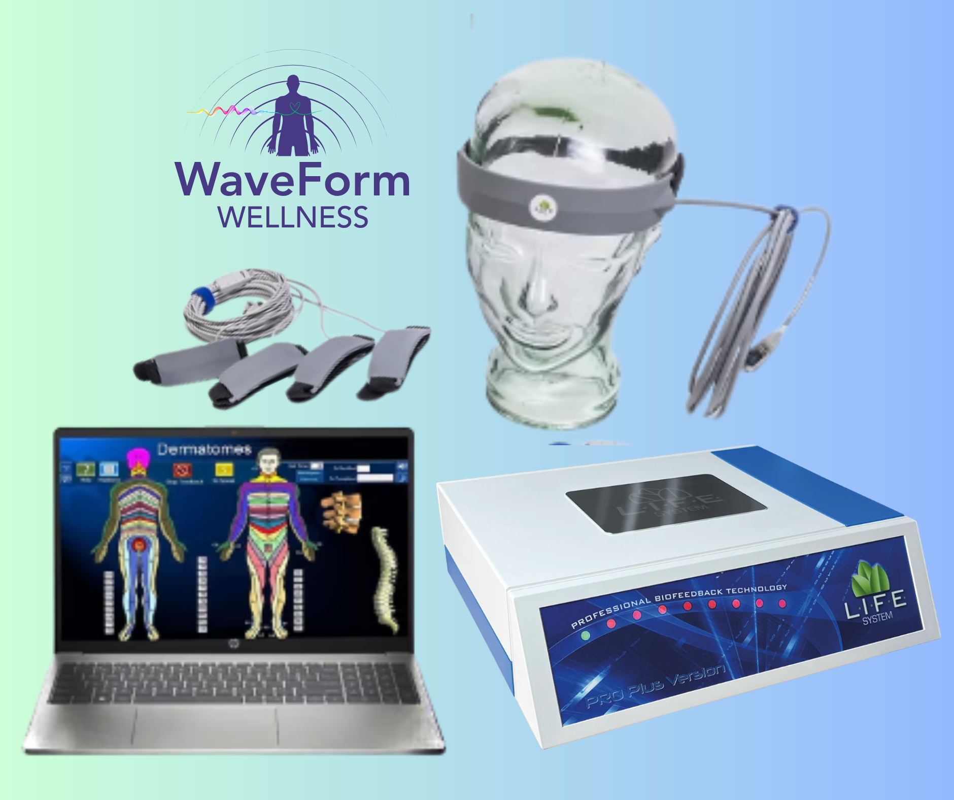 Digital wellness display, brainwave sensors, and a laptop showing a human body anatomy diagram, with a Wellness product box labeled "LIFE SYSTEM" in front.