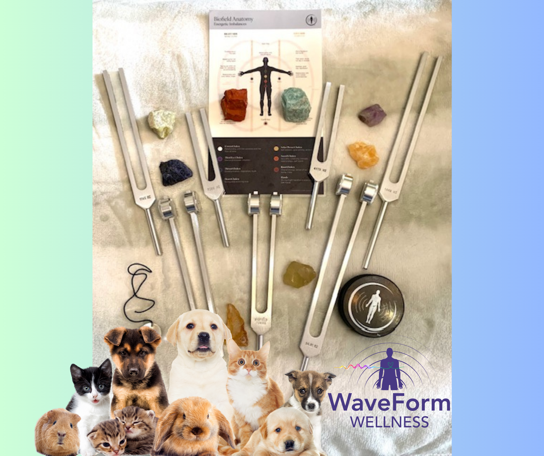 BT Fork Display-Pets.png