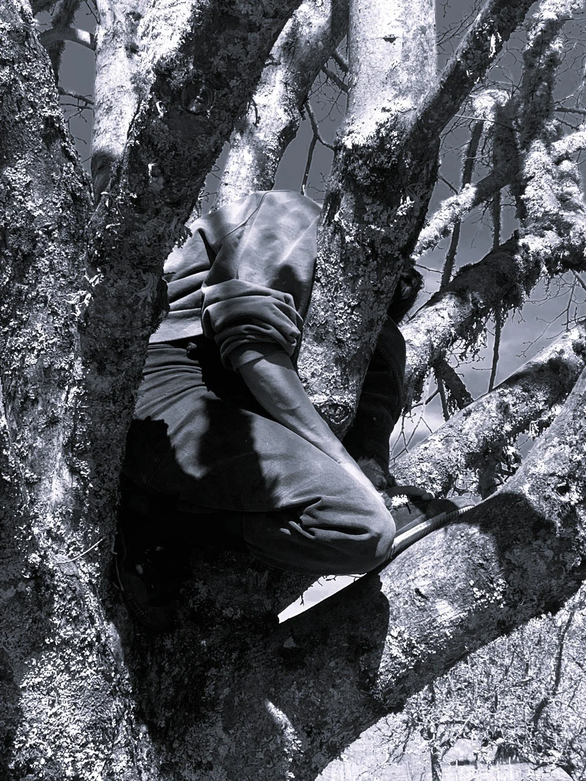 Résidence Béa Debrabant