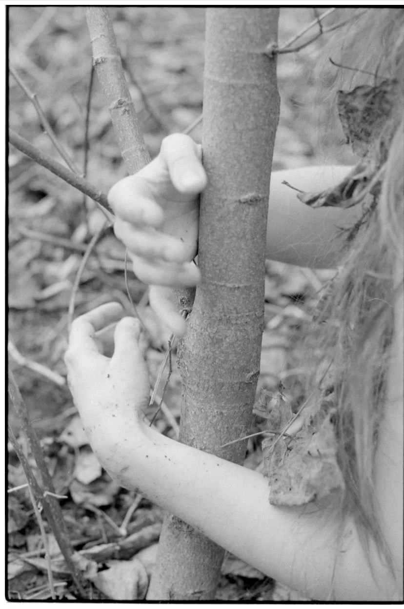 LiM - Portraits en mouvement