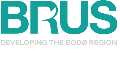 Logo for BRUS, med teksten 'DEVELOPING THE BODØ REGION' under.
