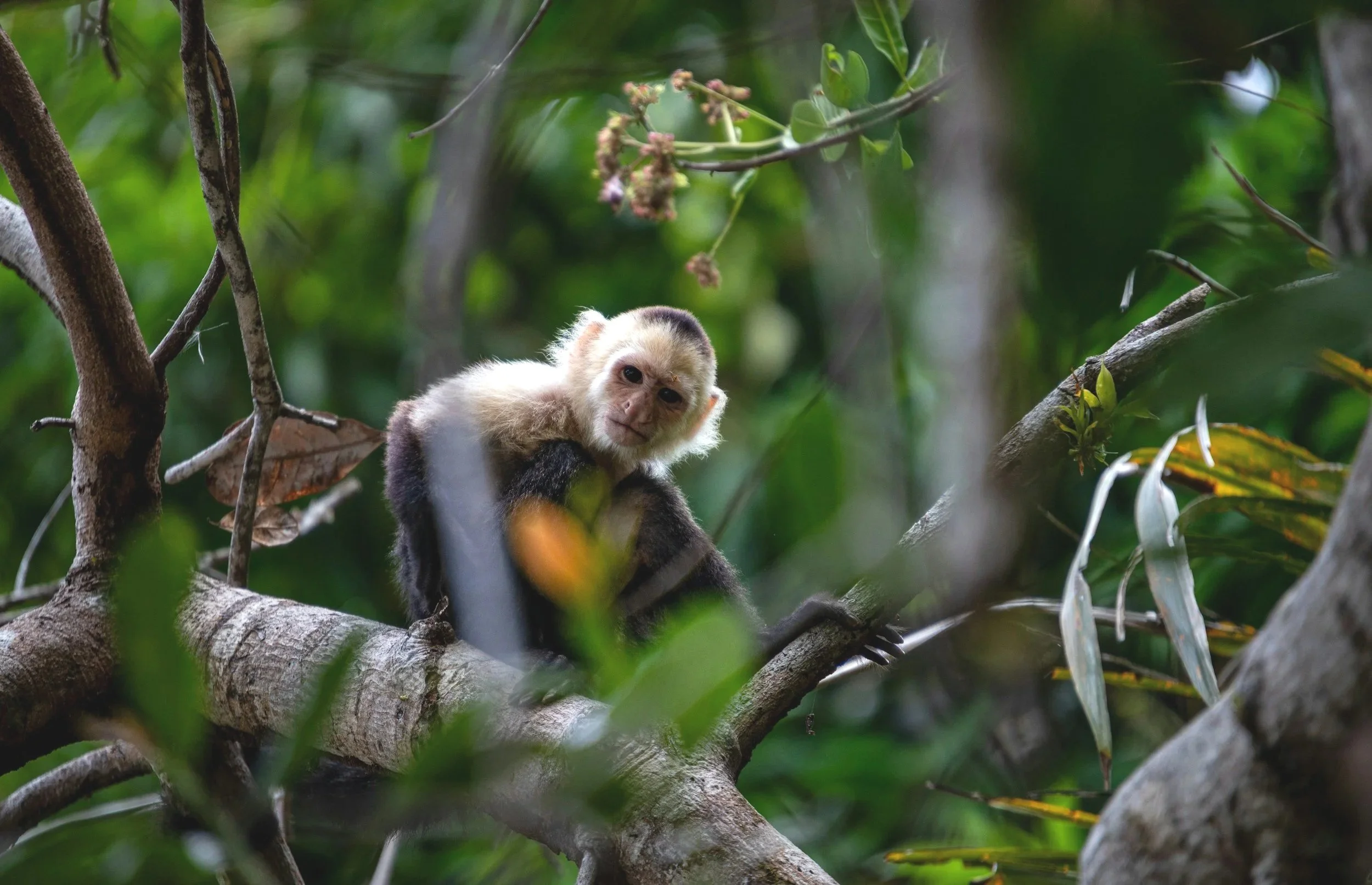 The $44 trillion question: why your portfolio needs biodiversity