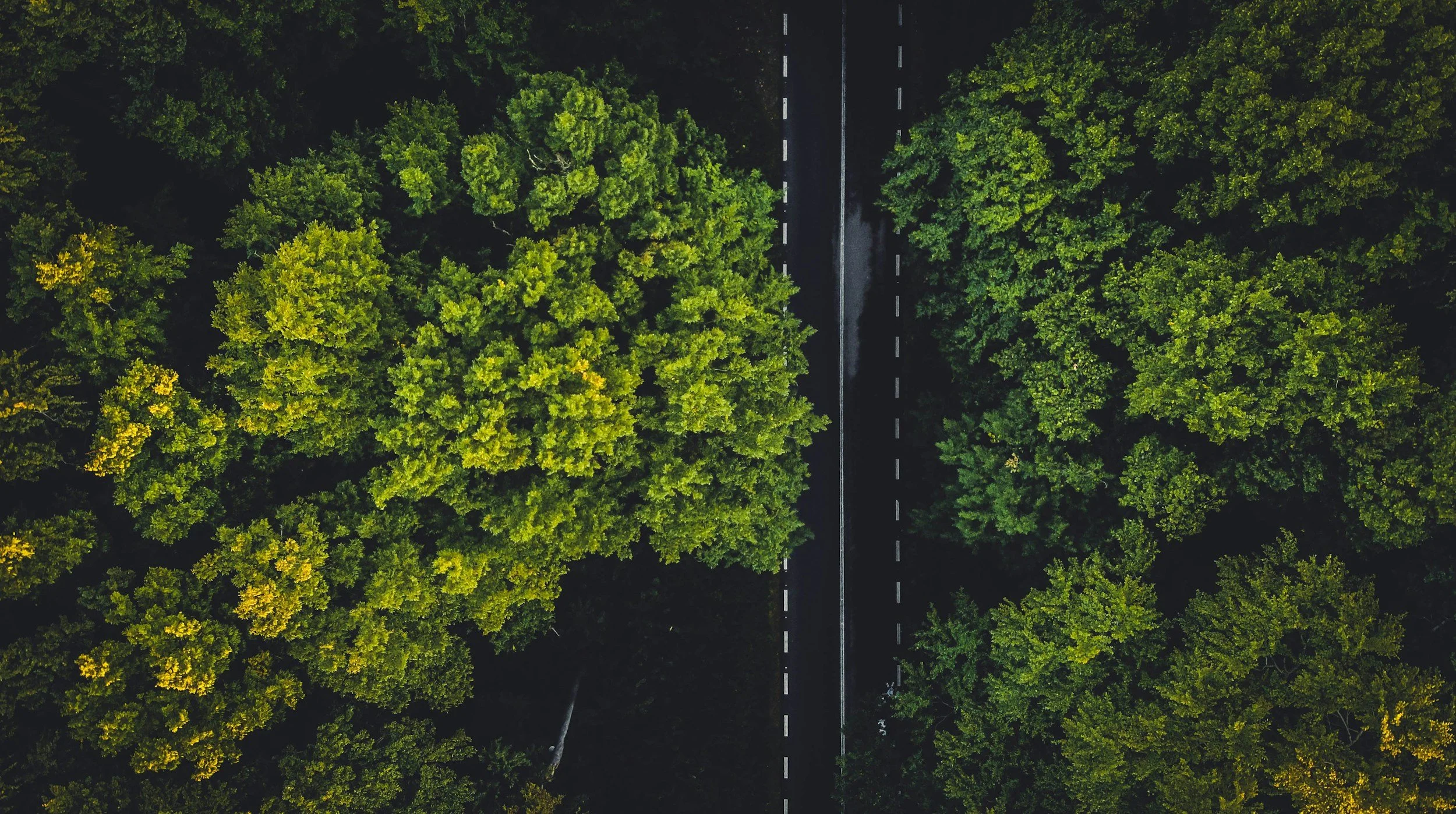 Market Asymmetries: Capturing Global Breadth and Growth