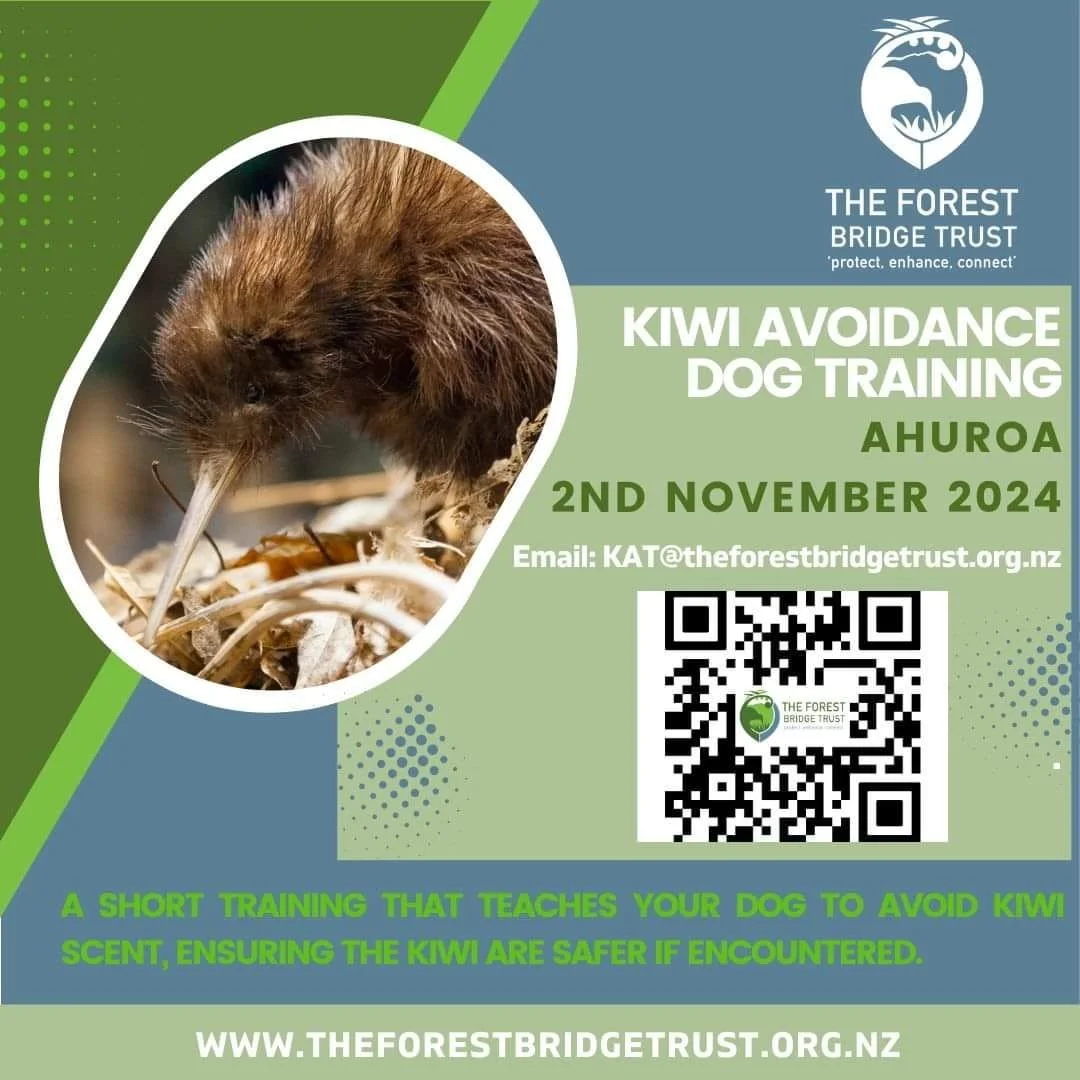 Kiwi Avoidance Training