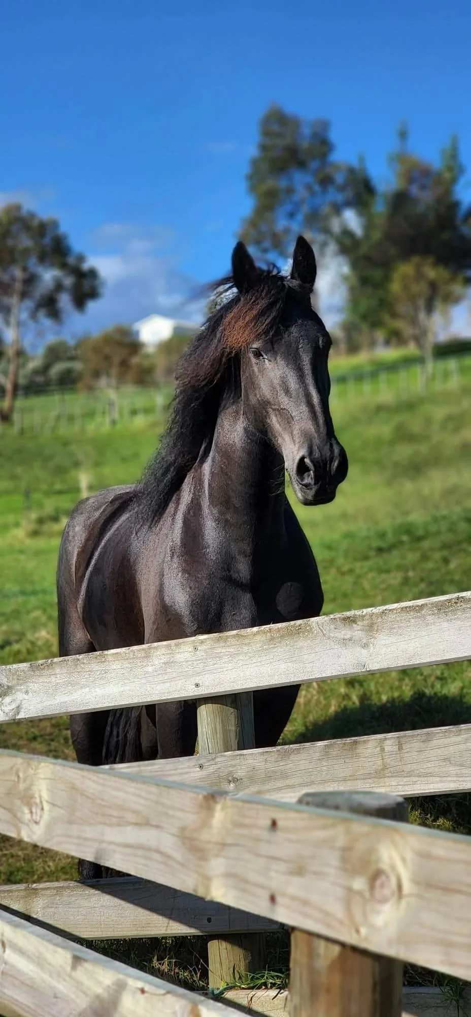 Michelle Amery 1.JPG