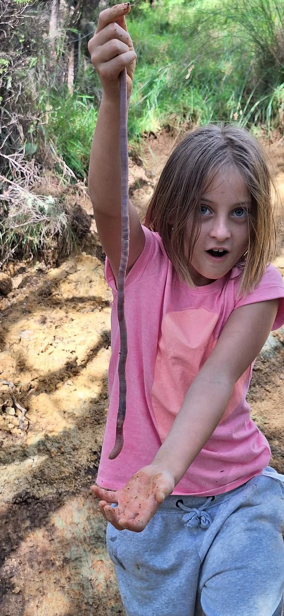 Michelle Morrison.jpg