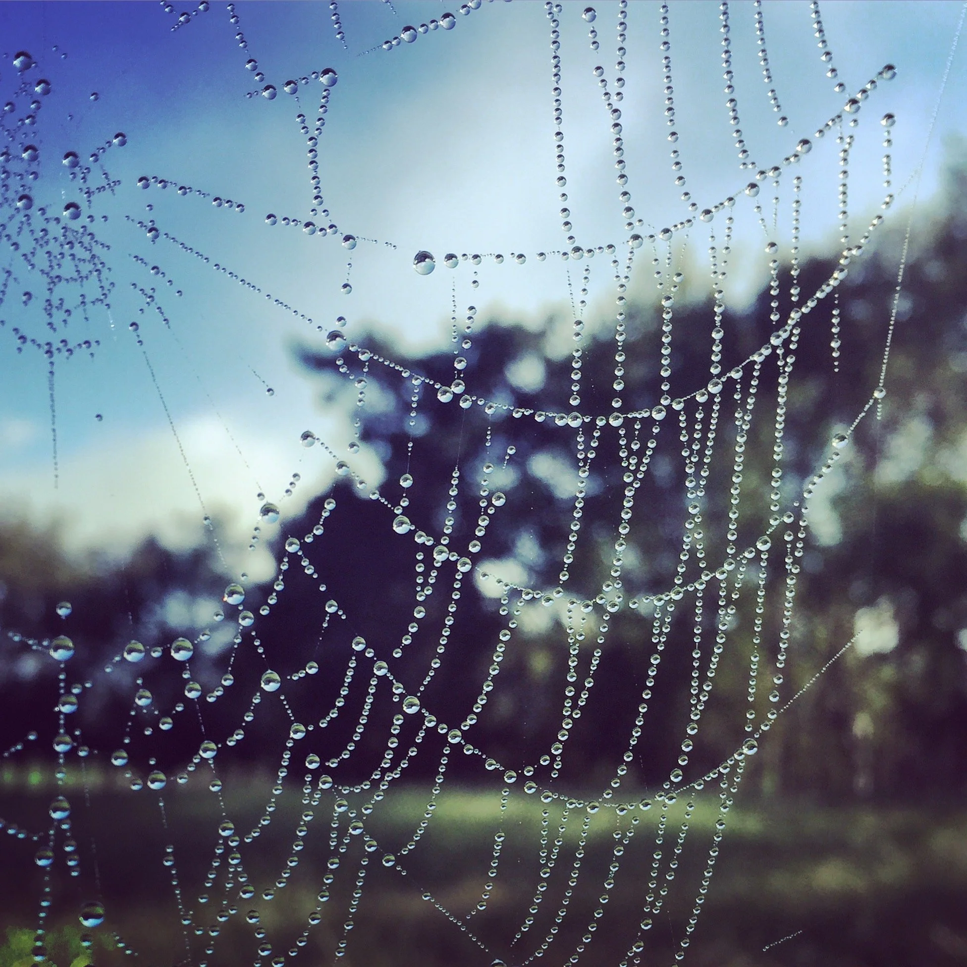 Bruce Lawerance 4.jpeg