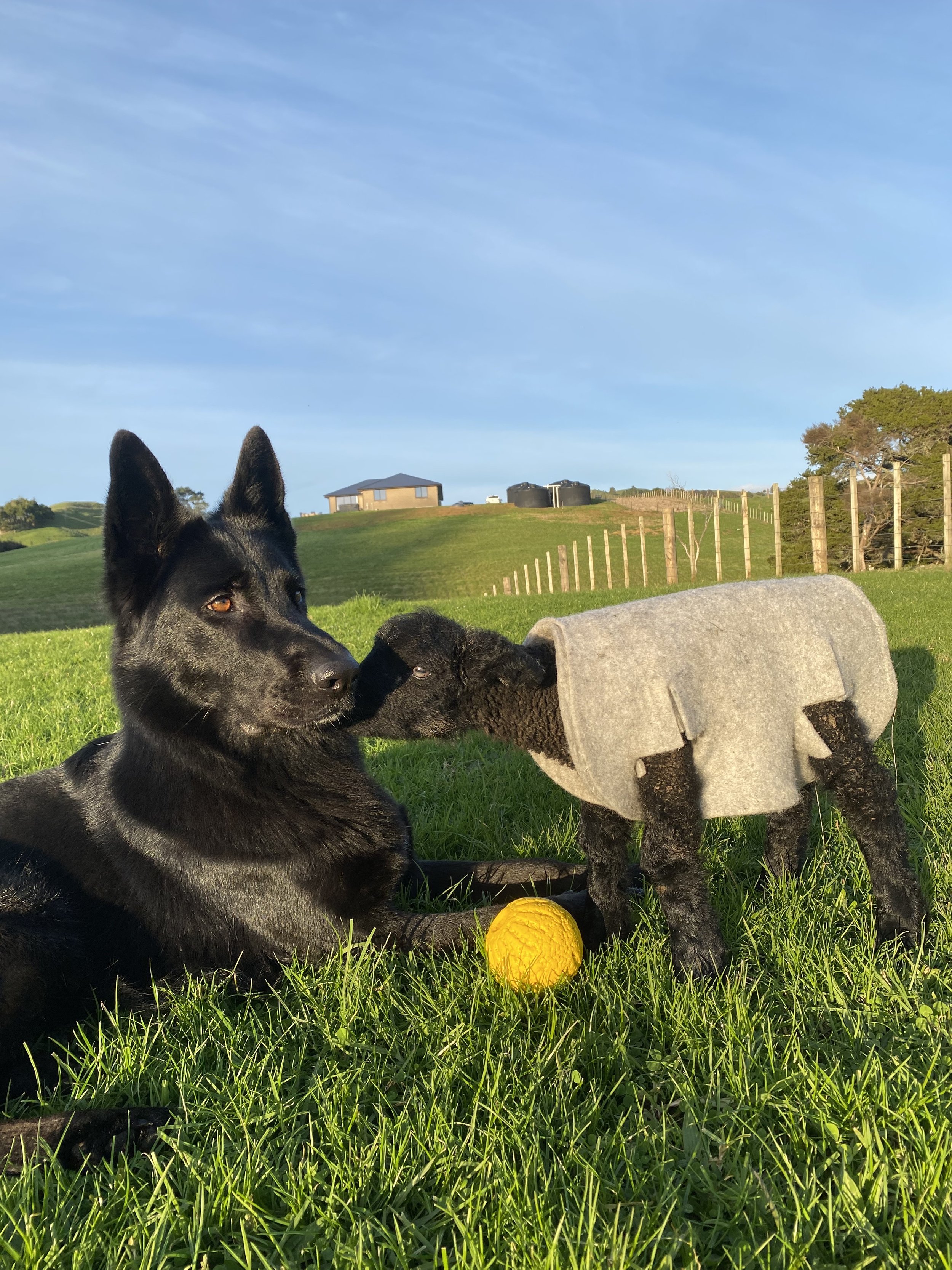 Richard Pervan 3.jpg