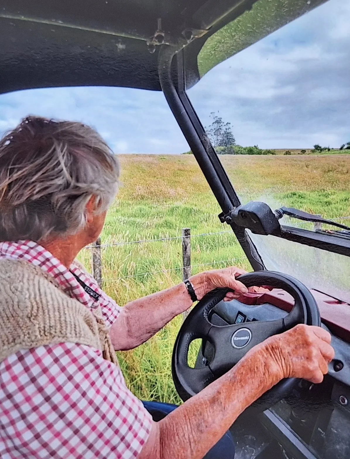 Shirley Jenkins 4.jpg