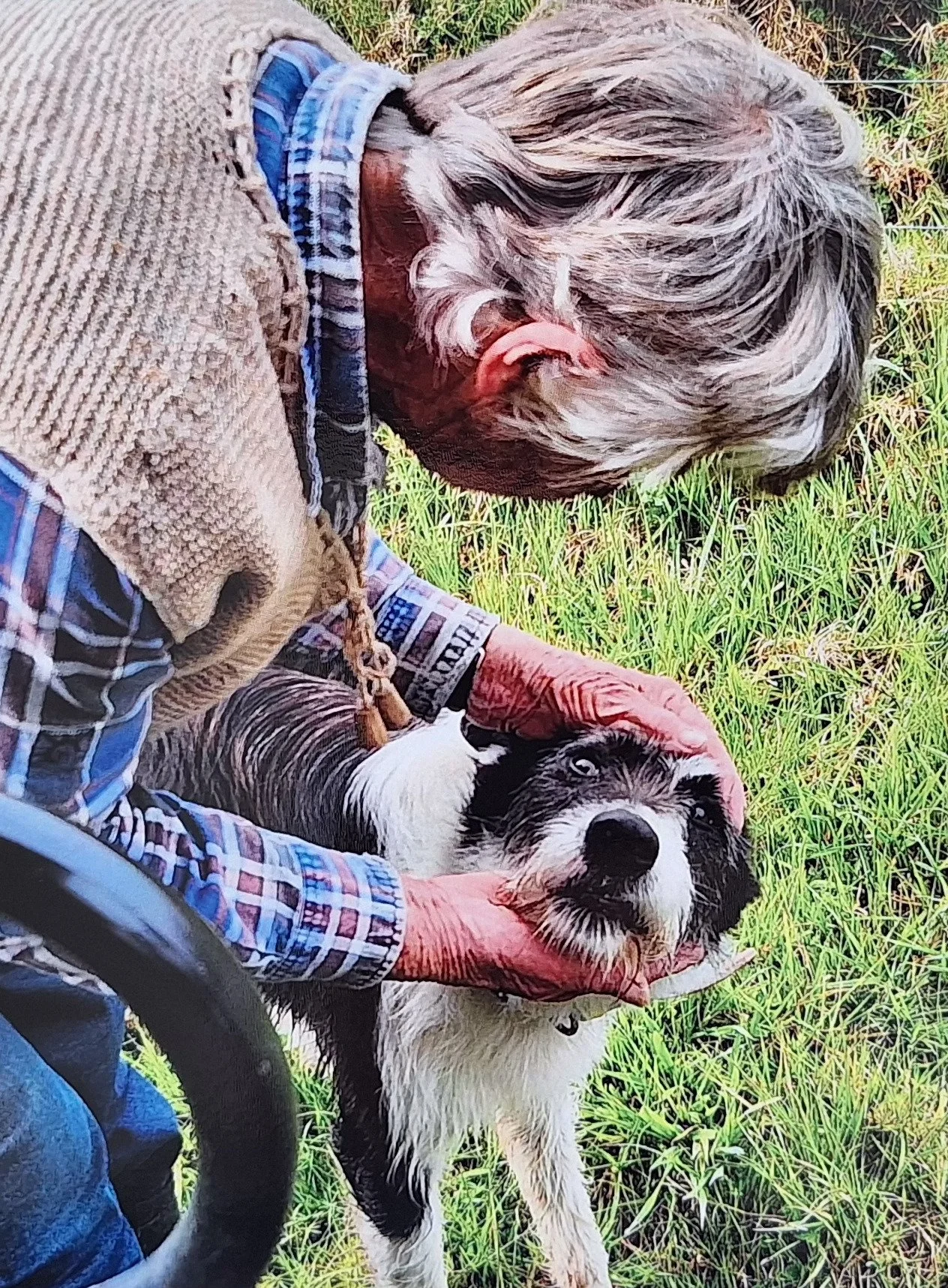 Shirley Jenkins 2.jpg