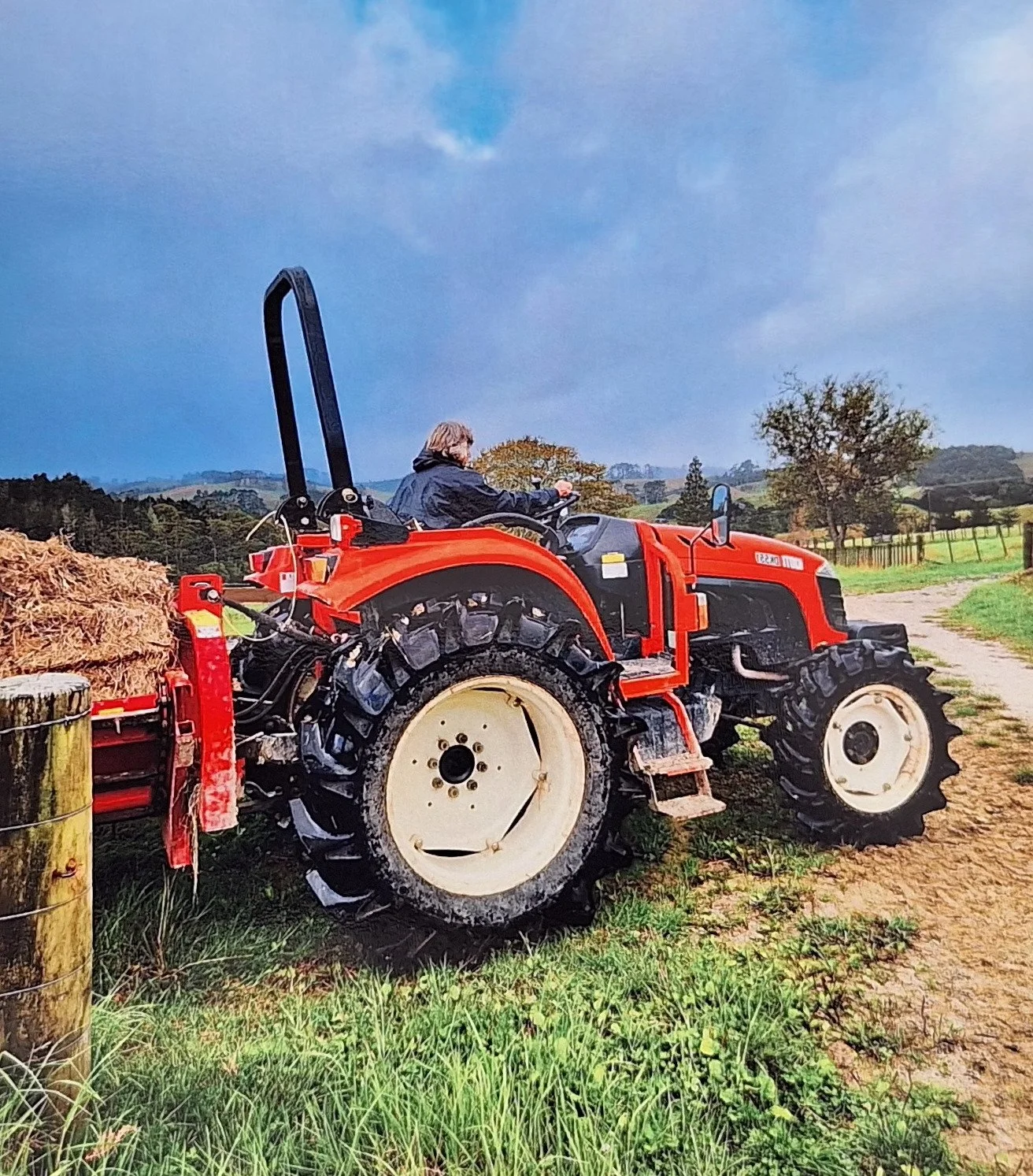 Shirley Jenkins 6.jpg