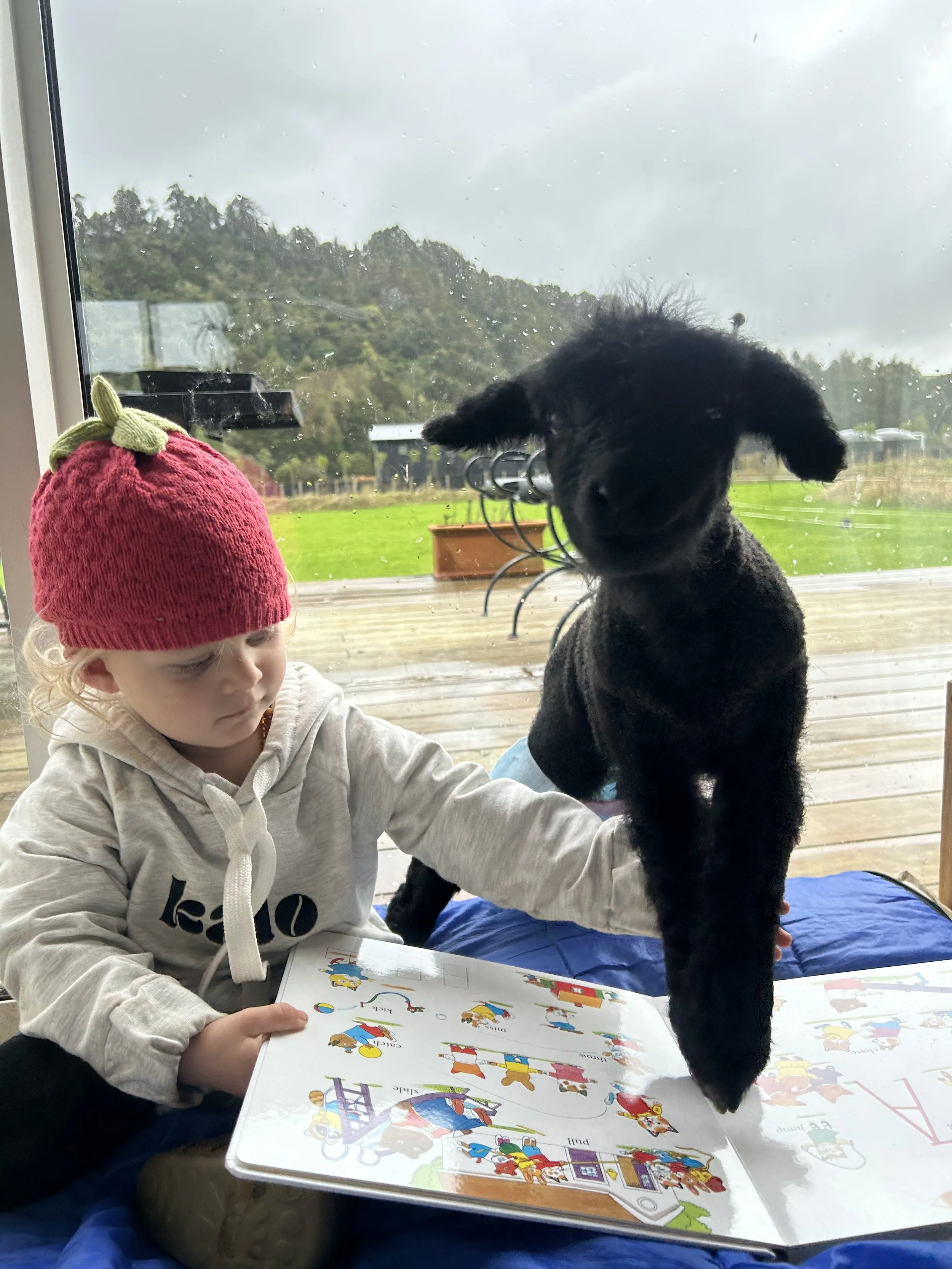 Richard Pervan 2.jpg