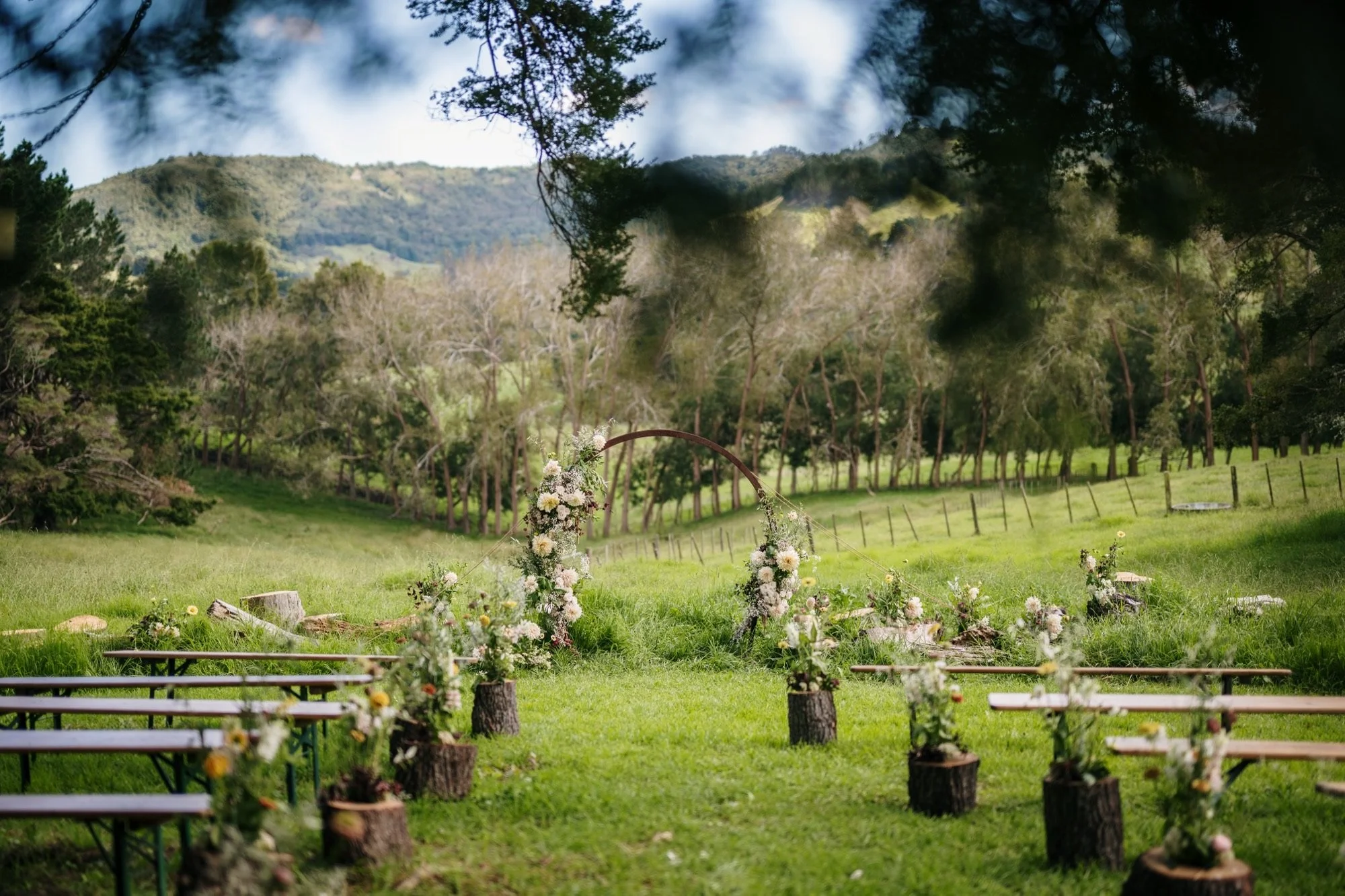 Bruce Lawerance 2.jpeg