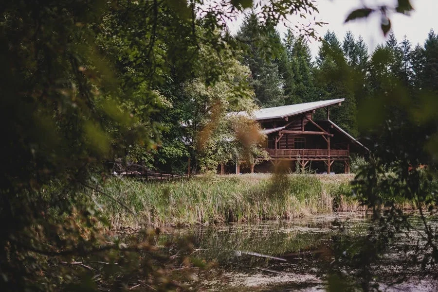 A wooden cabin with a sloped roof, surrounded by trees, near a body of water with tall grasses.