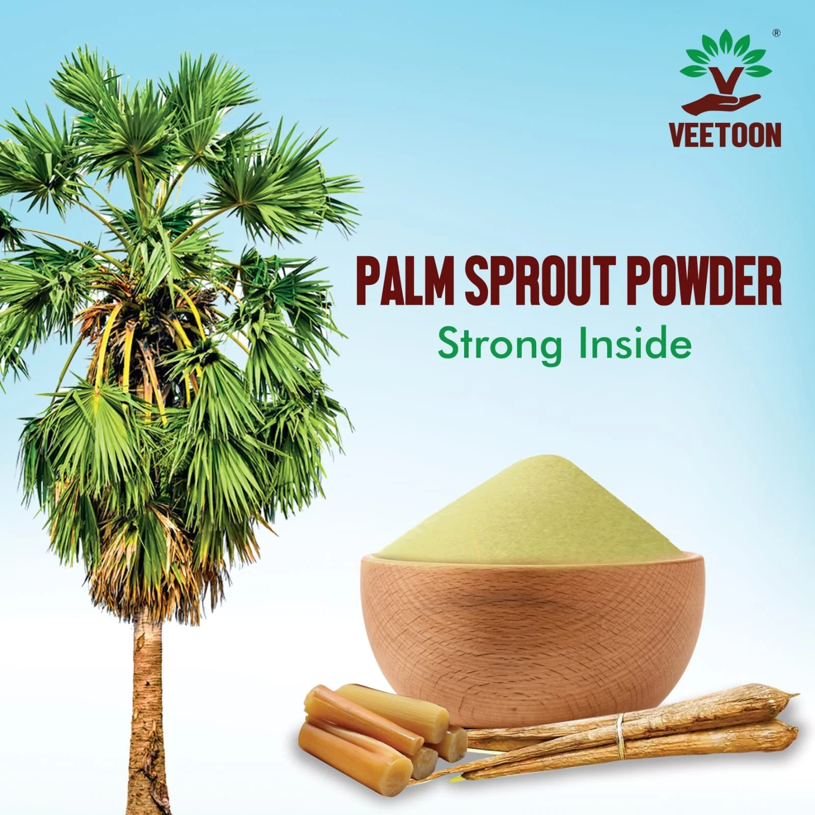 Palm spourtb 2.jpg