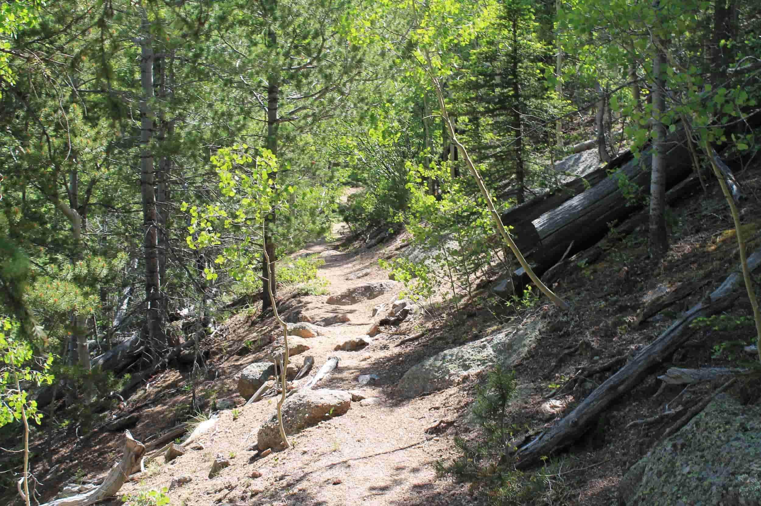 Explore Colorado with a Trail Fiends Hiking Guide