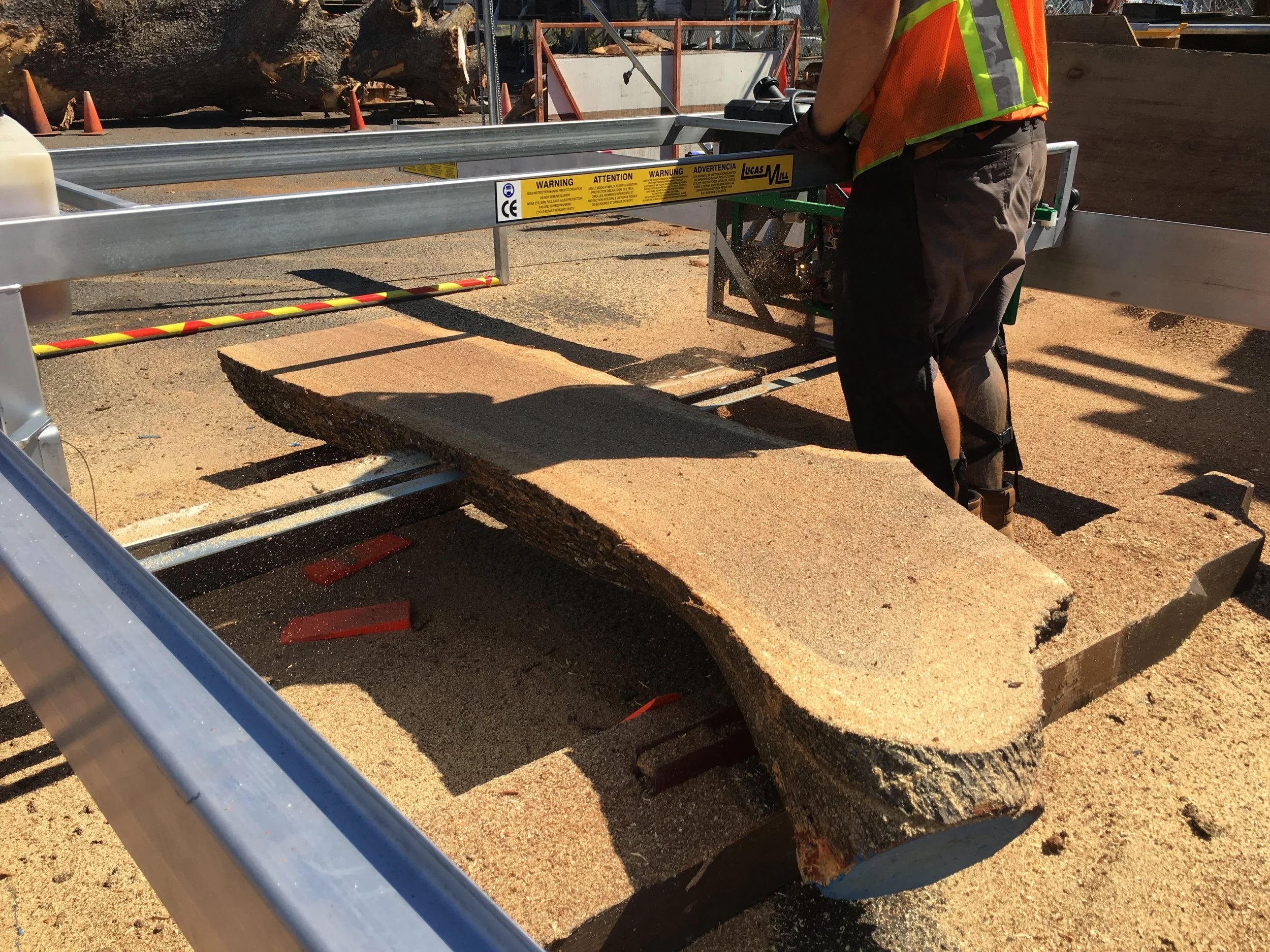 A clean photo of a freshly cut tree slab with a man operating a tree mill.