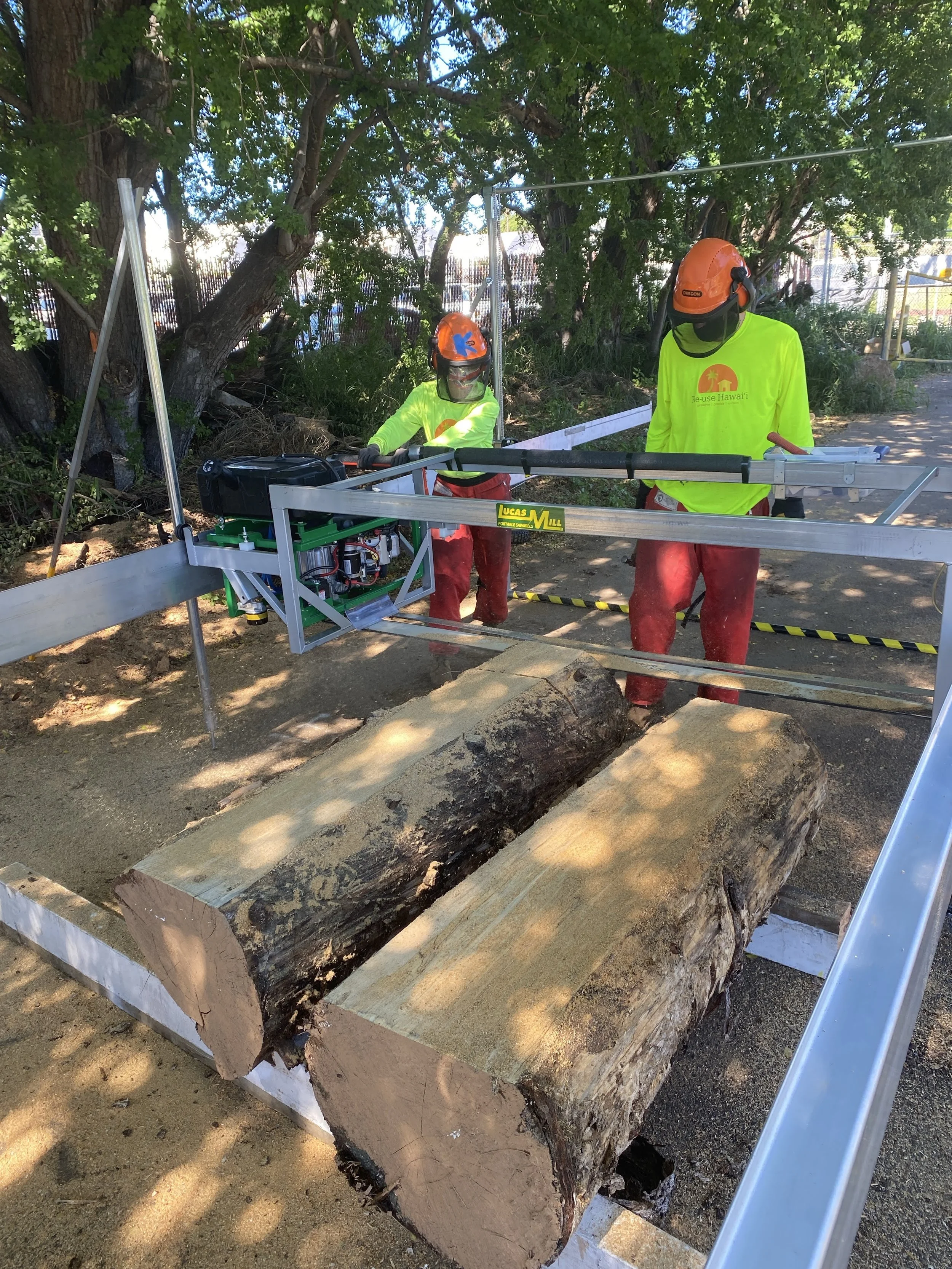 Two men working together to operate a tree mill to cut tree slabs.