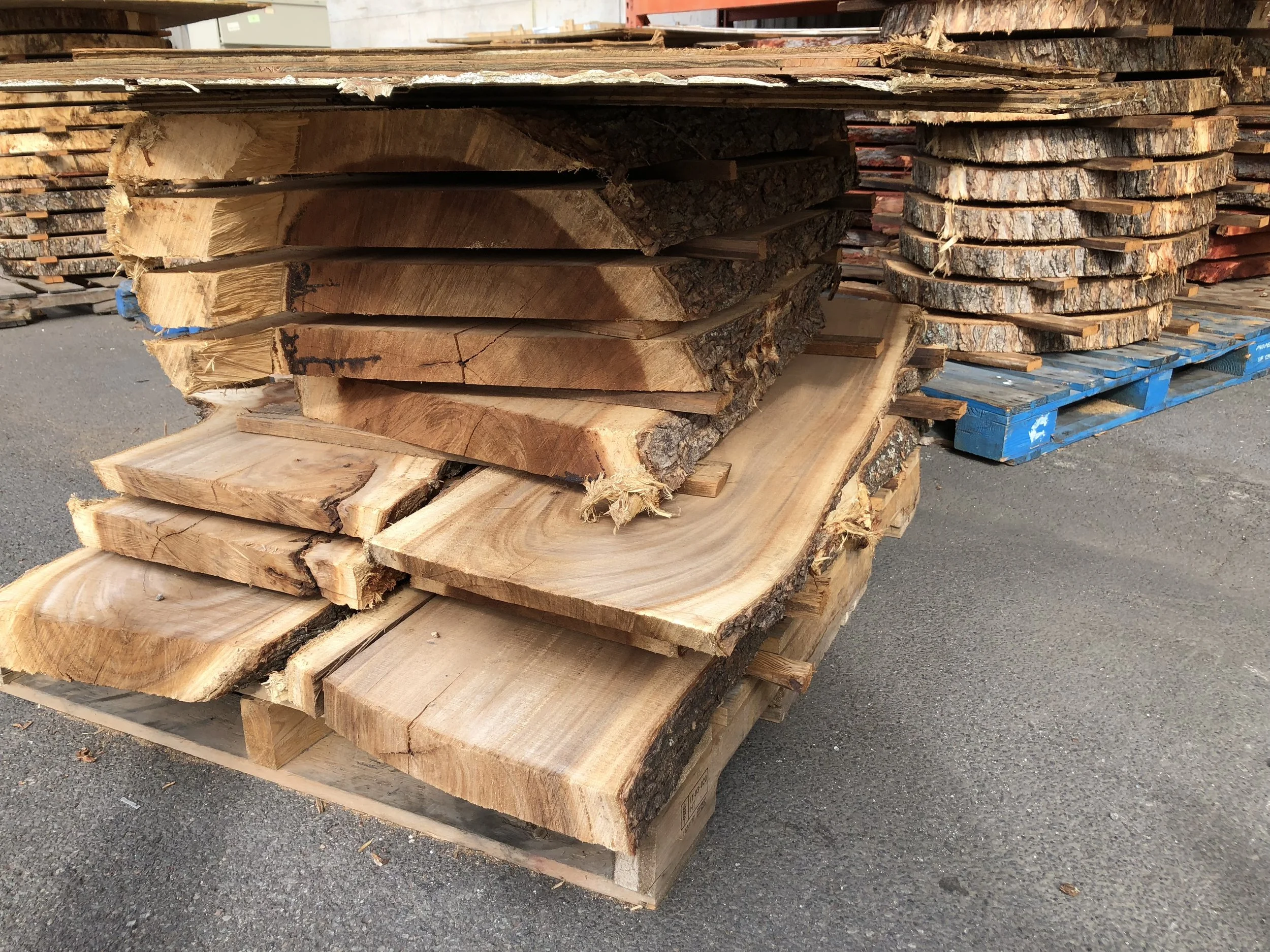 A close-up stack of tree slabs.