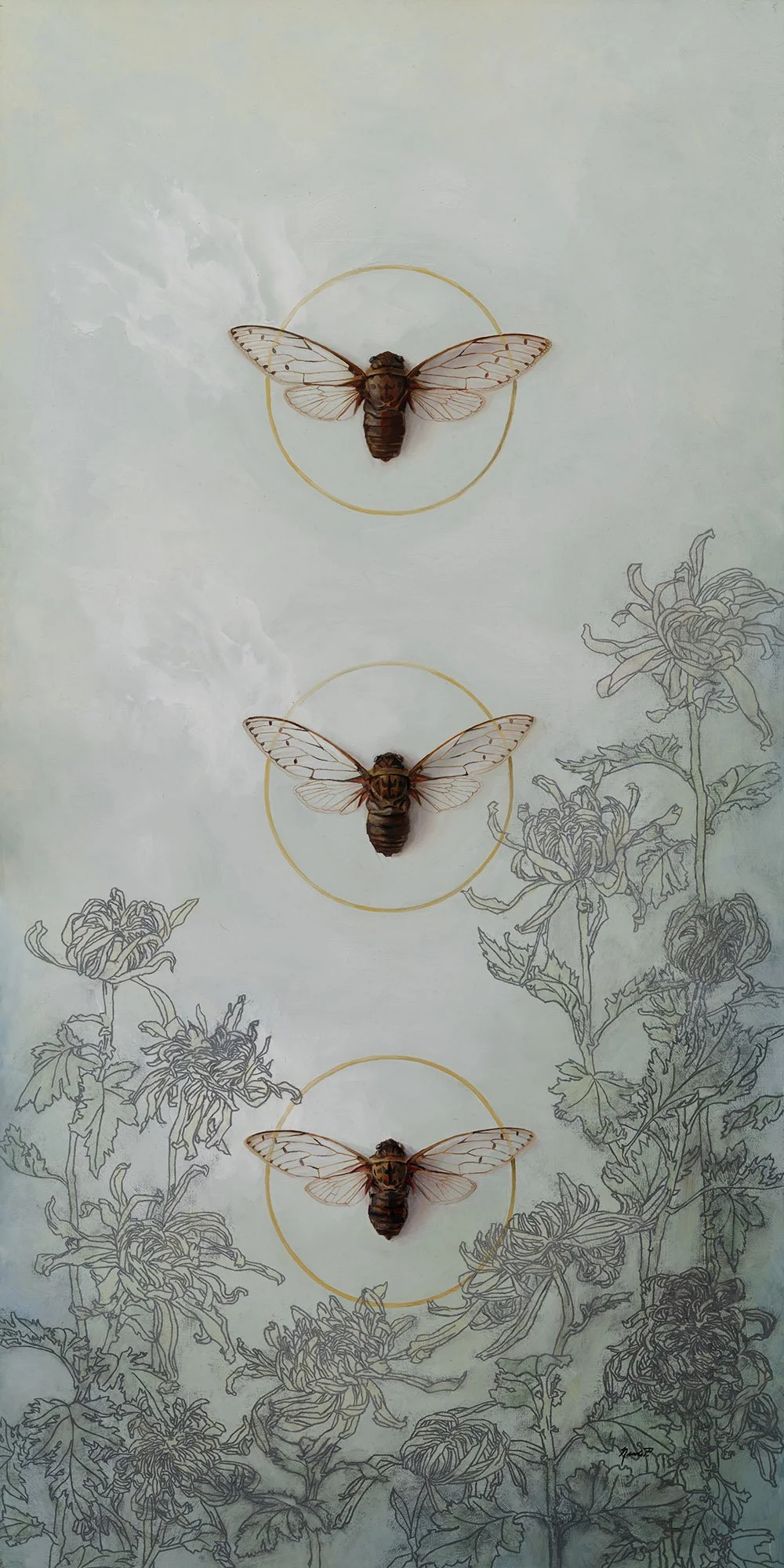 royal chrysanthemums.jpg