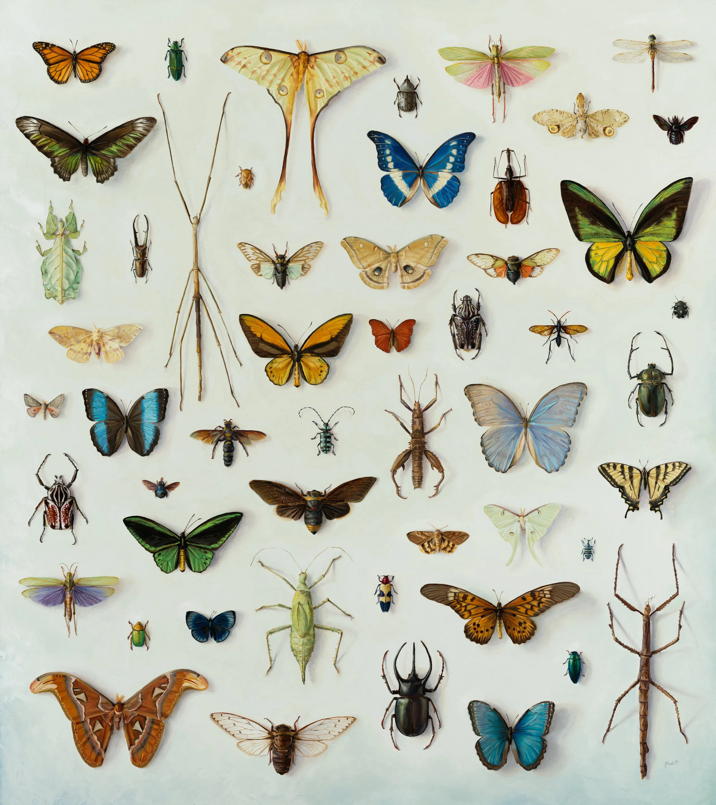 Entomophilia