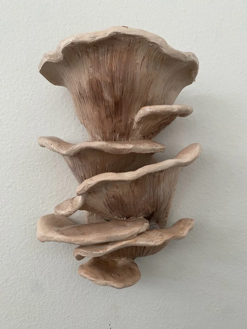 Oyster mushroom wall sculpture