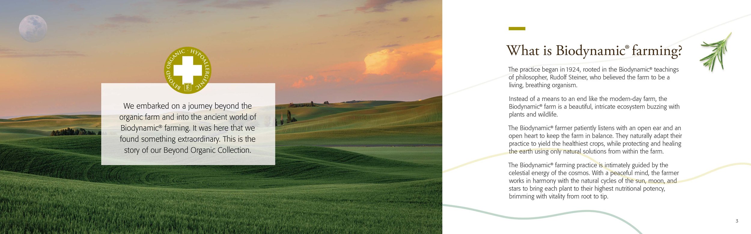 Beyond_Organic_Brochure_BORGB_v1.1_spreads-2.jpg