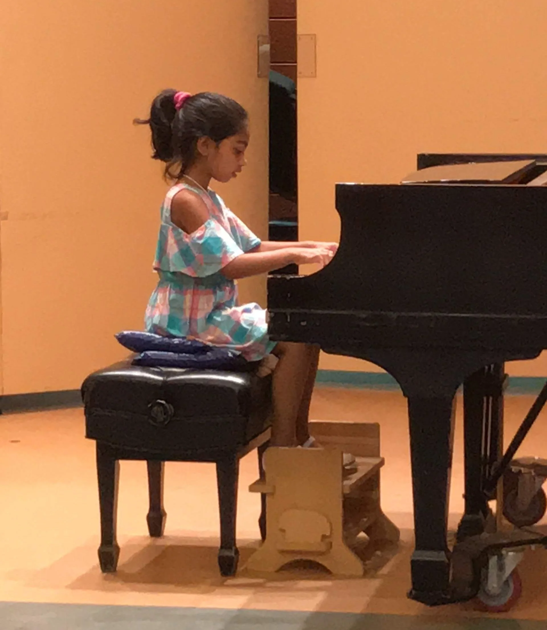 Soloist, Hartt Suzuki Summer Institute